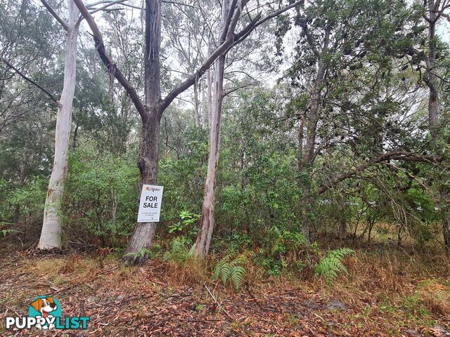 20 Dickenson Drive RUSSELL ISLAND QLD 4184