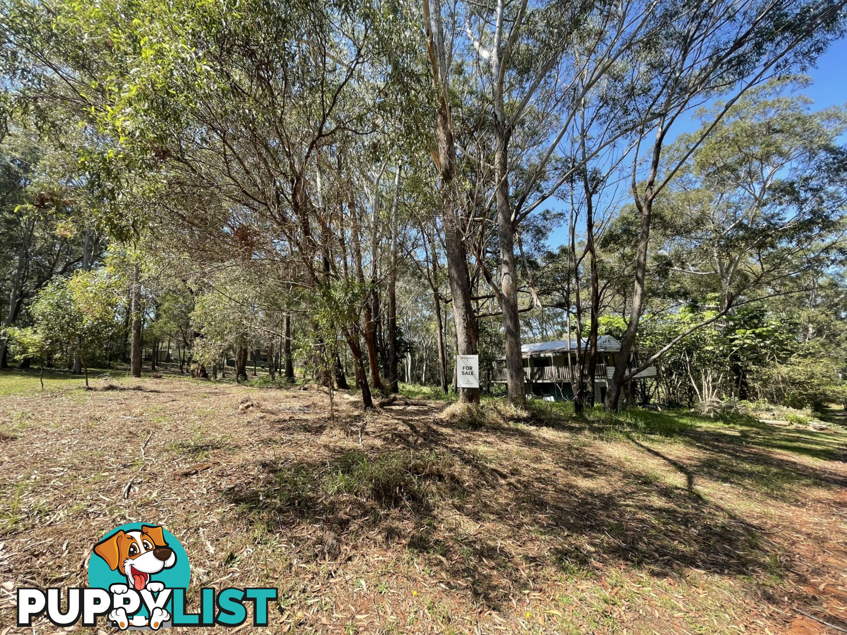 14 Blaxland Street RUSSELL ISLAND QLD 4184