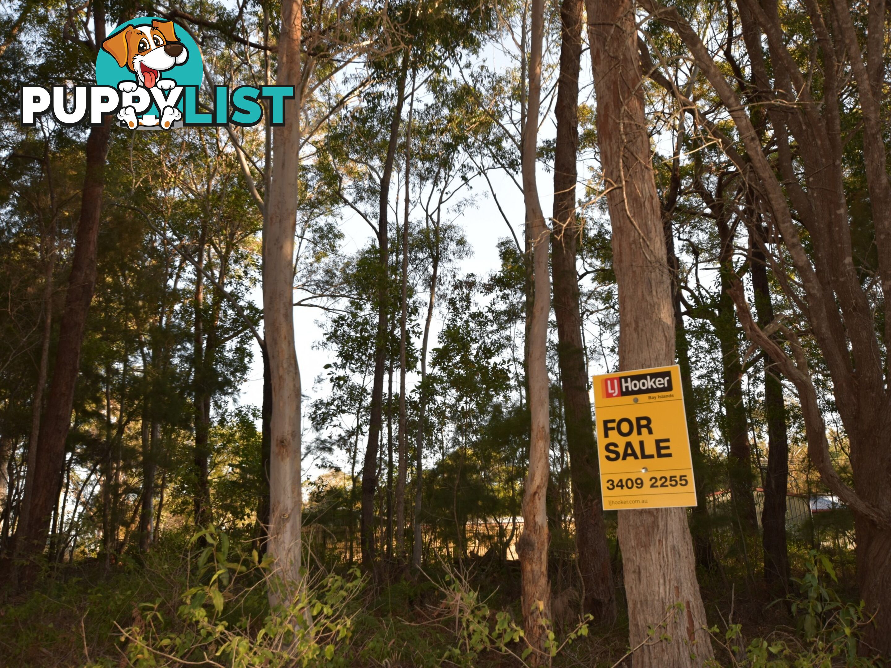 RUSSELL ISLAND QLD 4184