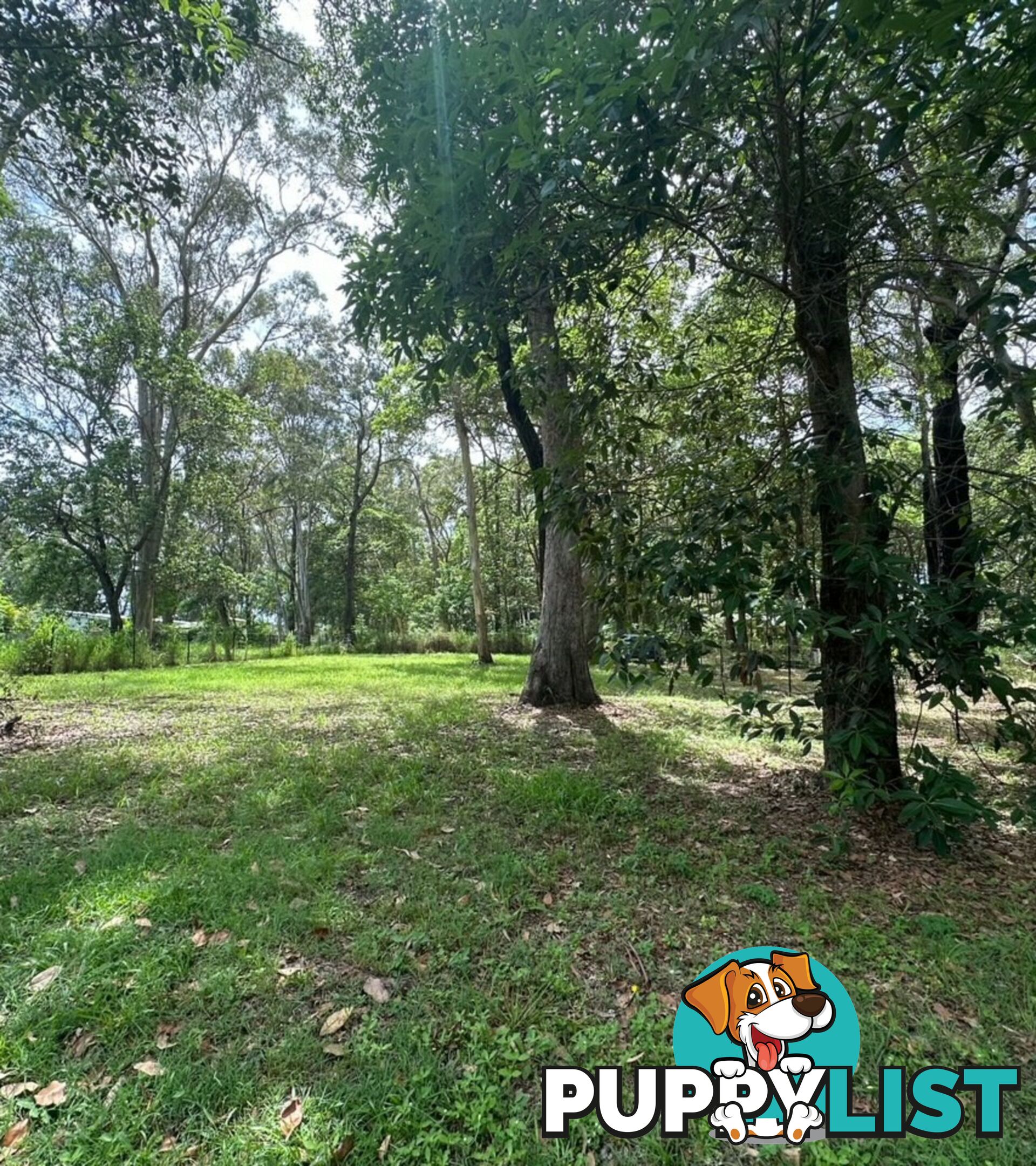 19 Bilbungra Street RUSSELL ISLAND QLD 4184