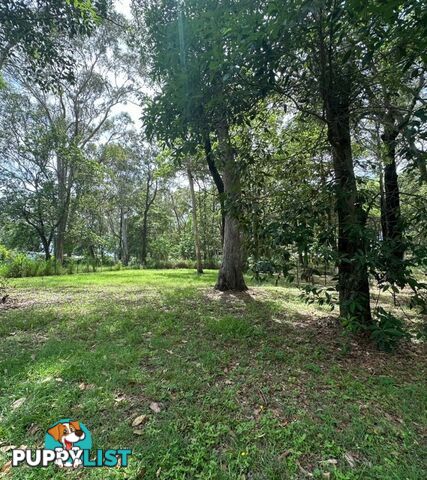 19 Bilbungra Street RUSSELL ISLAND QLD 4184