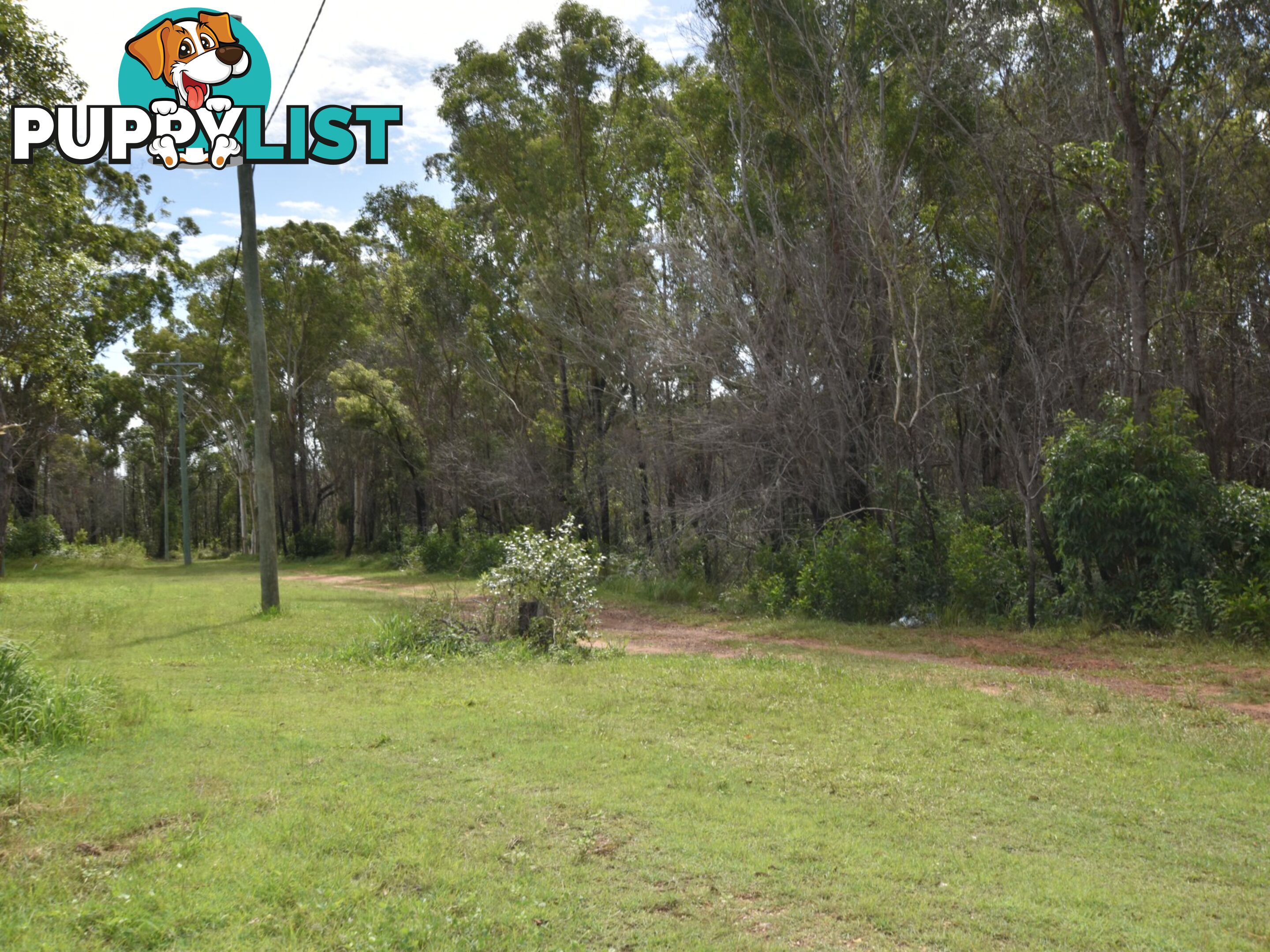 14 Nautilus Parade RUSSELL ISLAND QLD 4184