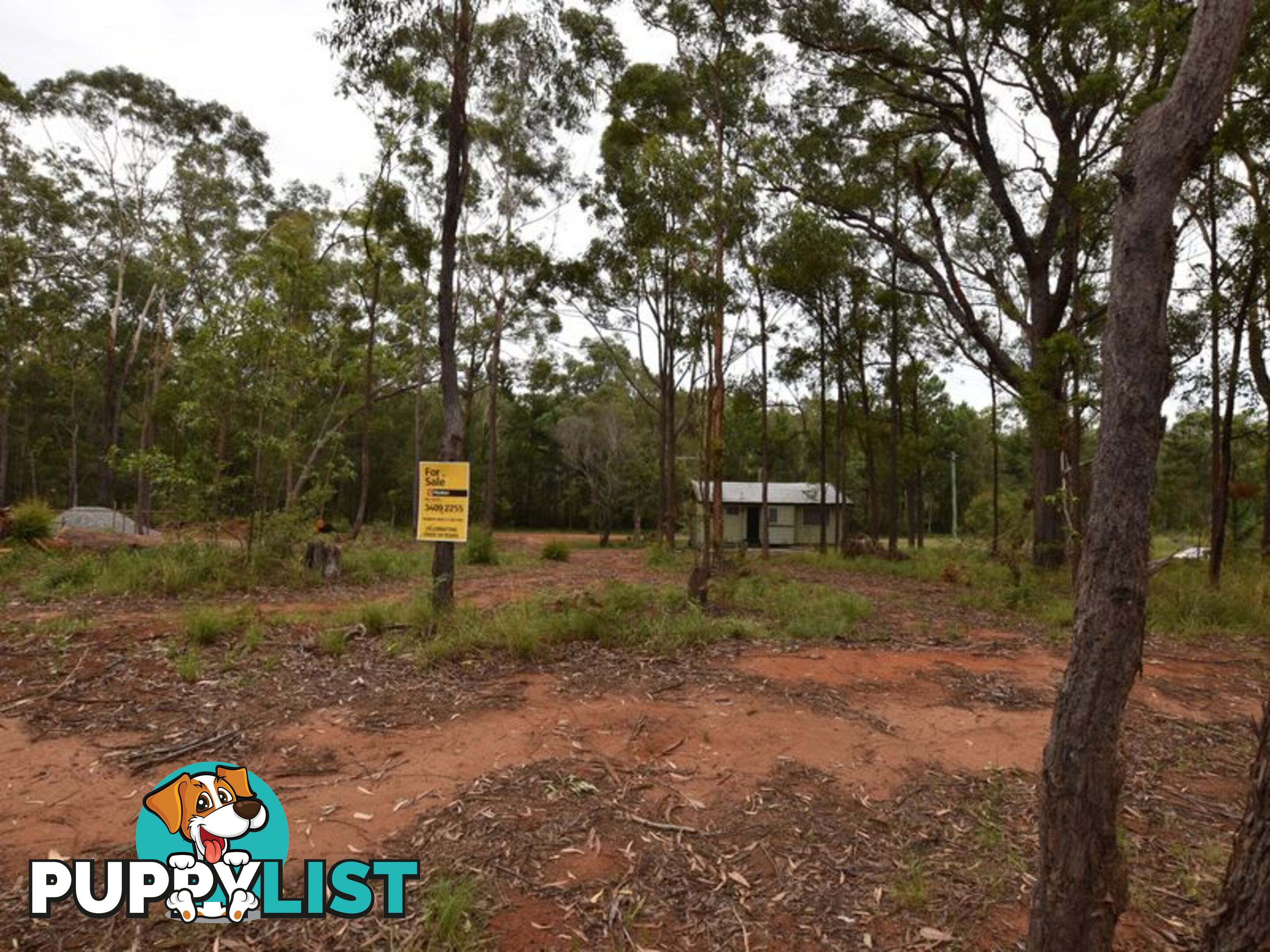 40 Dempsey Street RUSSELL ISLAND QLD 4184