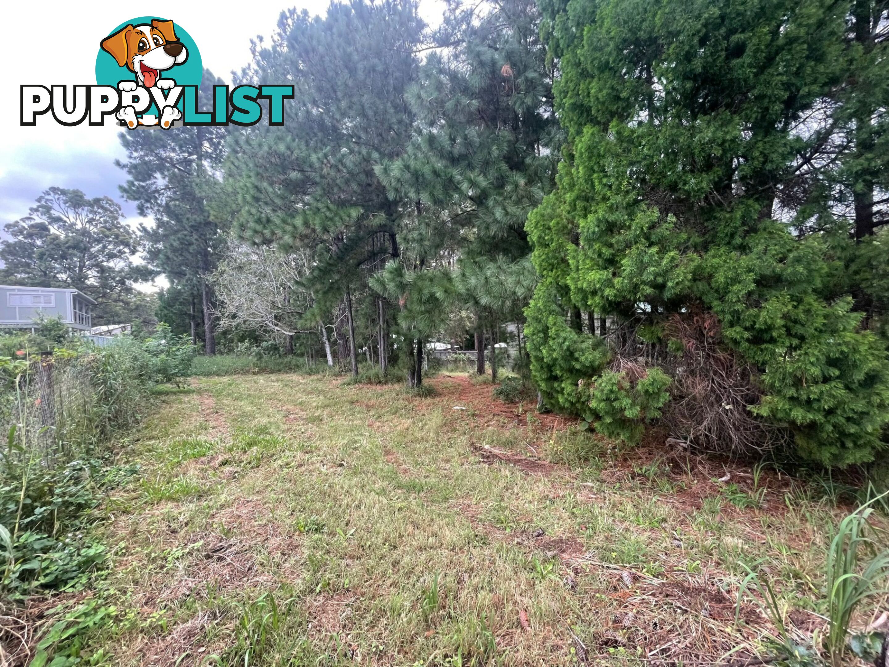 6 Reading Street RUSSELL ISLAND QLD 4184