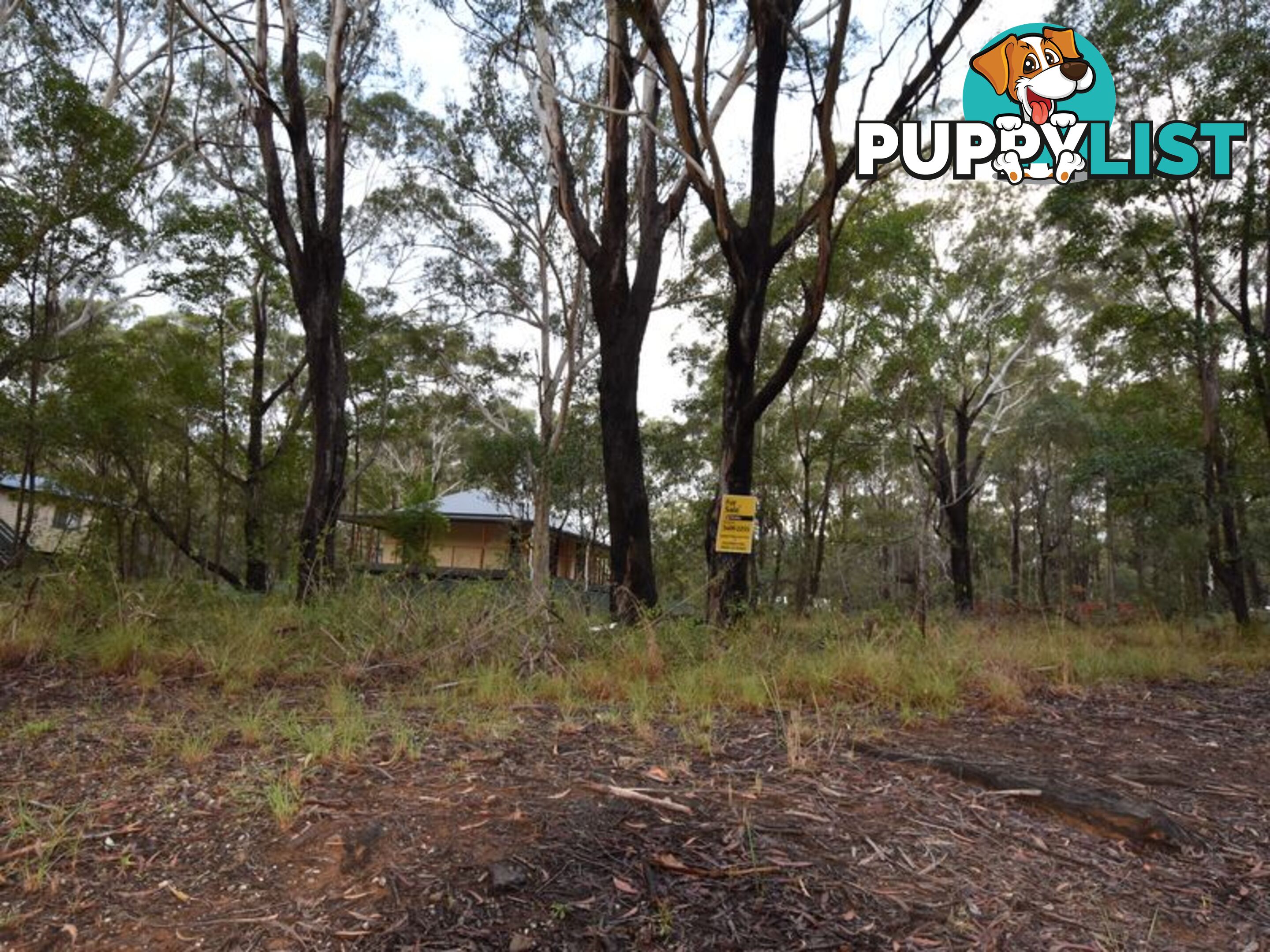 9 Bowen Ave RUSSELL ISLAND QLD 4184