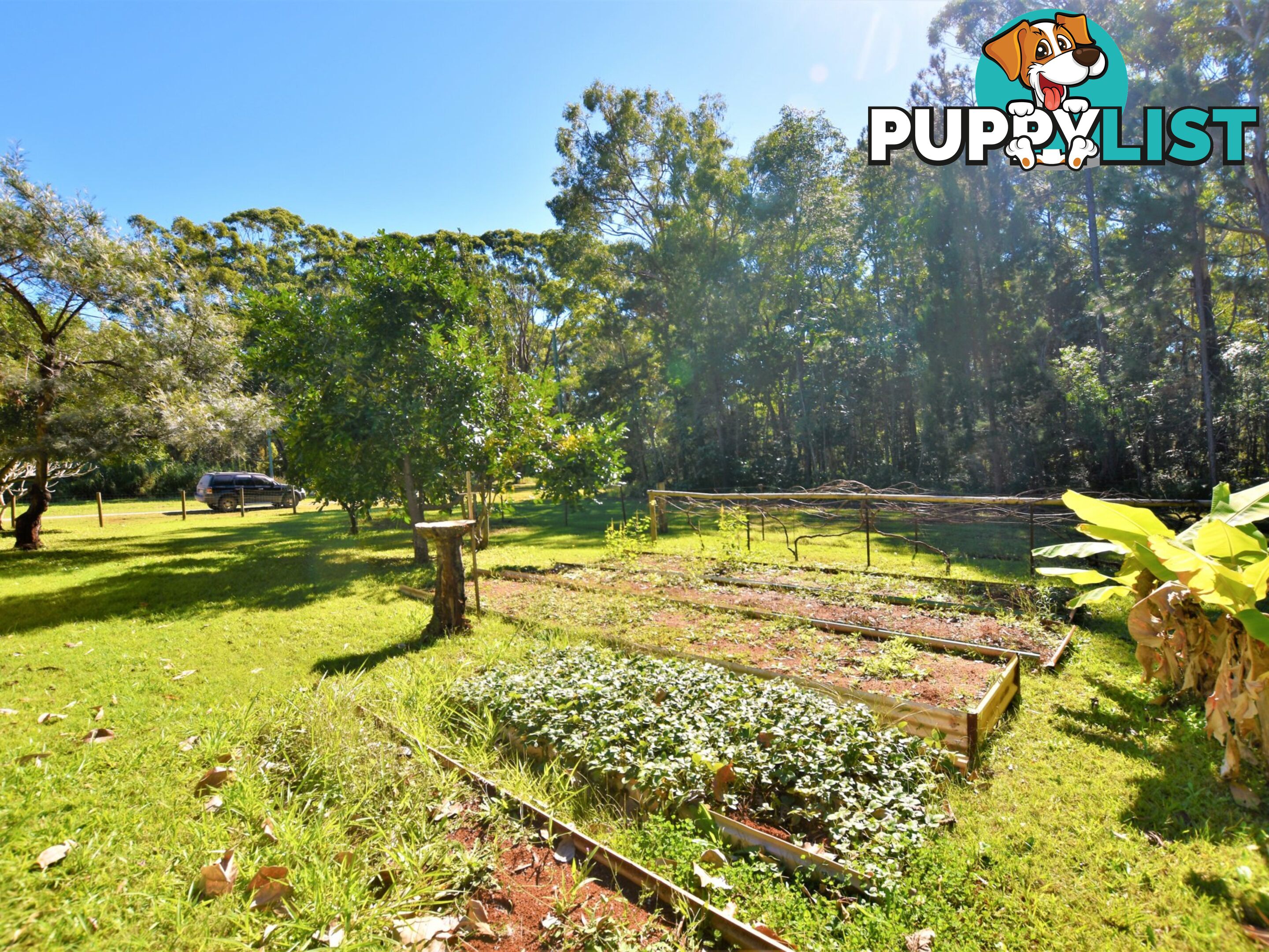 16 Oaklea Street RUSSELL ISLAND QLD 4184