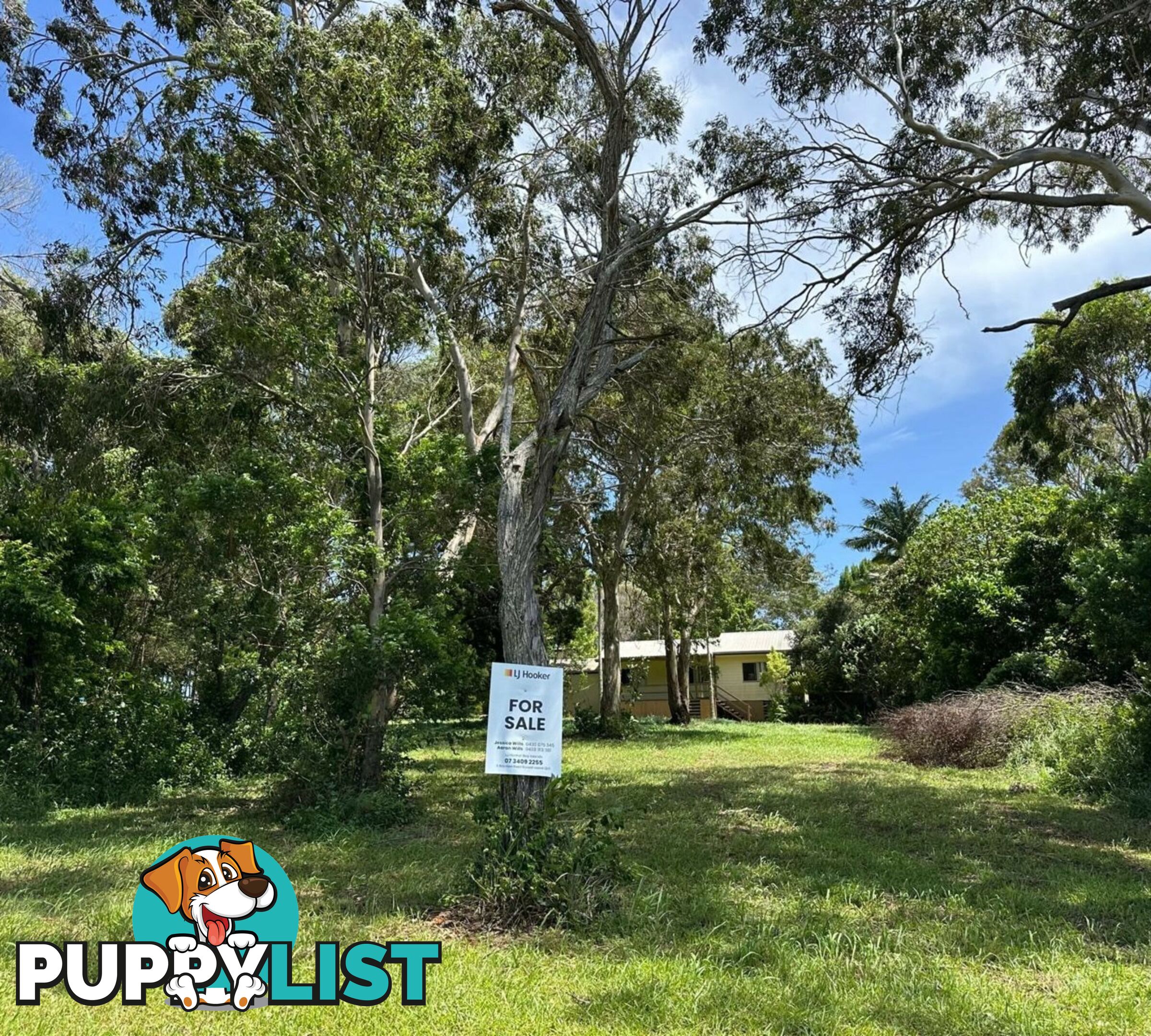 107 Canaipa Point Drive RUSSELL ISLAND QLD 4184