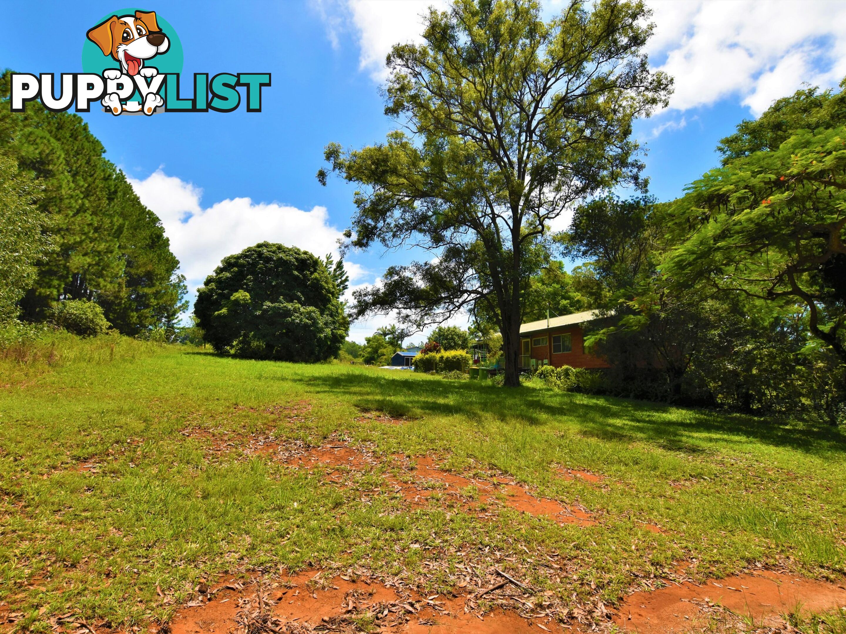 19 Jiwali Street RUSSELL ISLAND QLD 4184