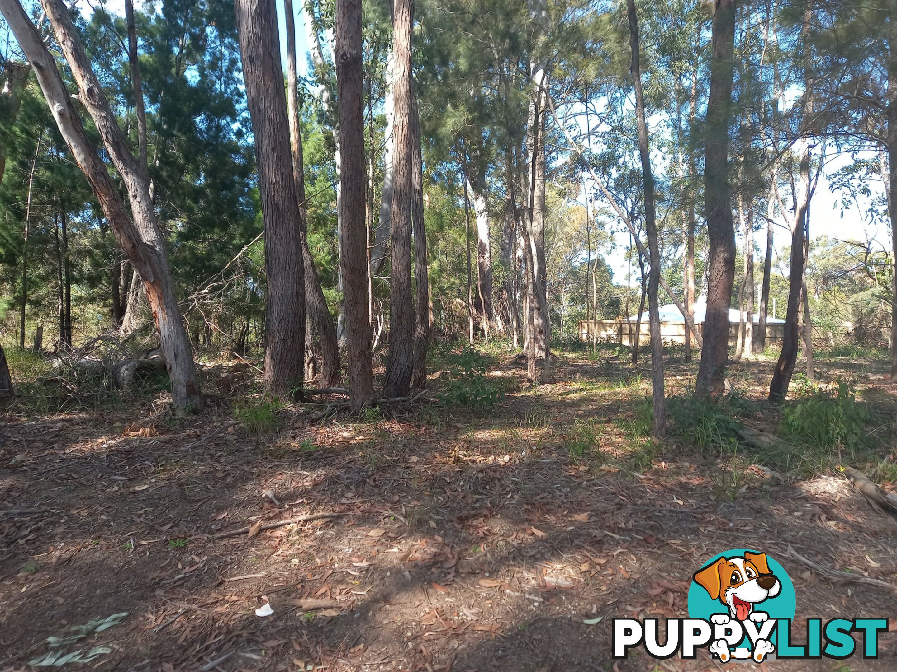 26 JACKSON ROAD RUSSELL ISLAND QLD 4184