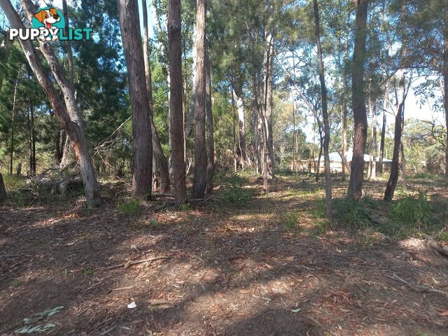 26 JACKSON ROAD RUSSELL ISLAND QLD 4184