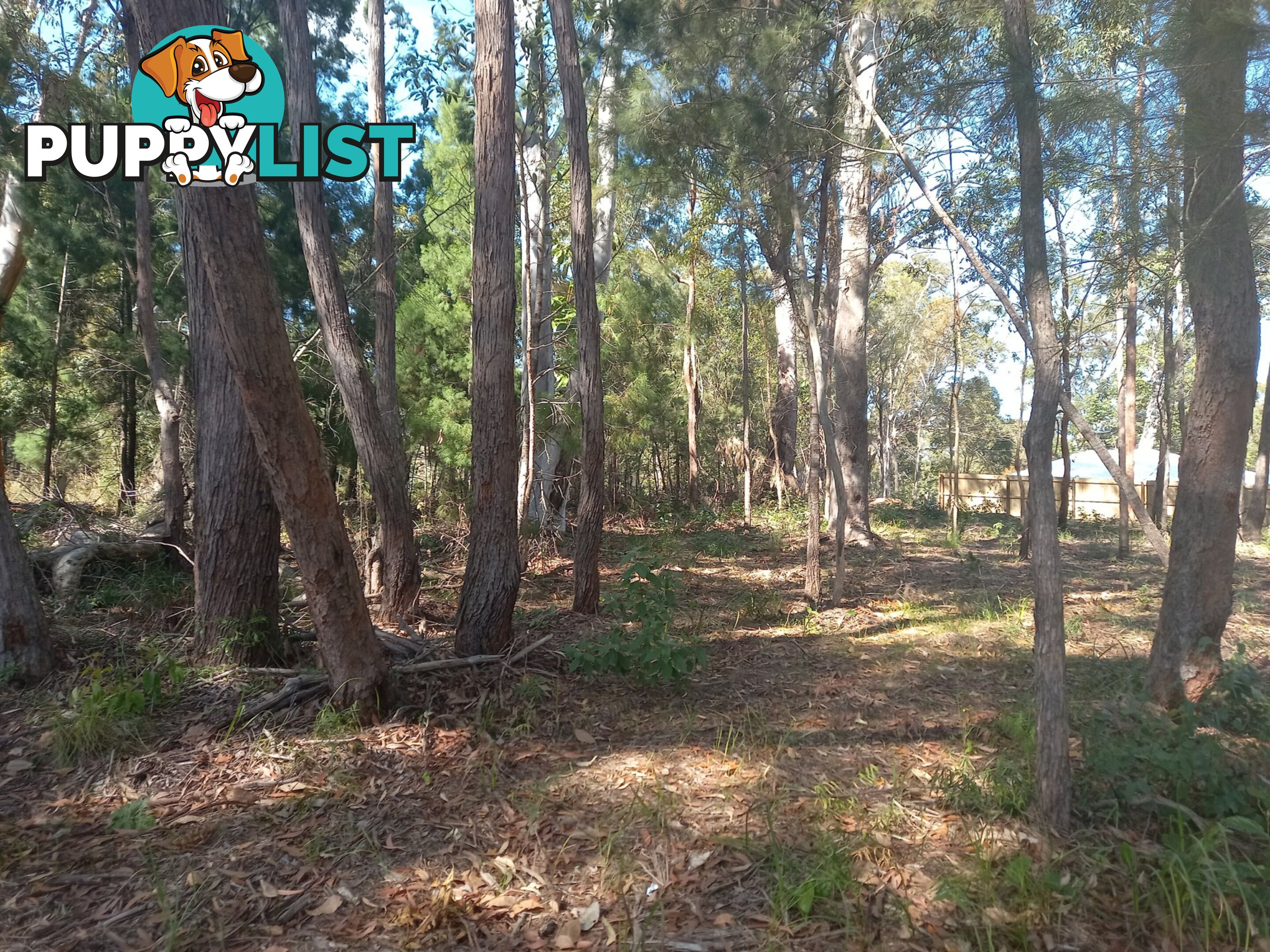 26 JACKSON ROAD RUSSELL ISLAND QLD 4184