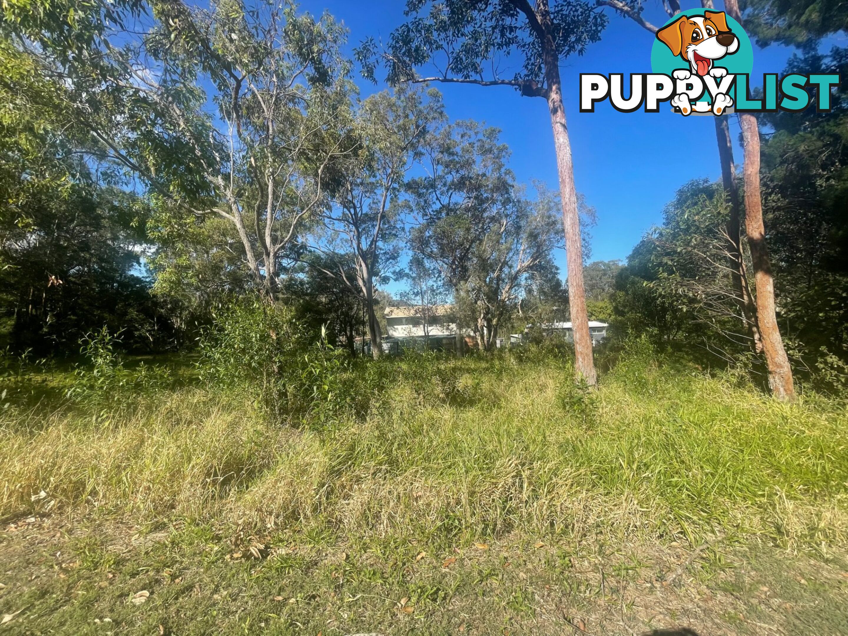 29 Yacht Street RUSSELL ISLAND QLD 4184