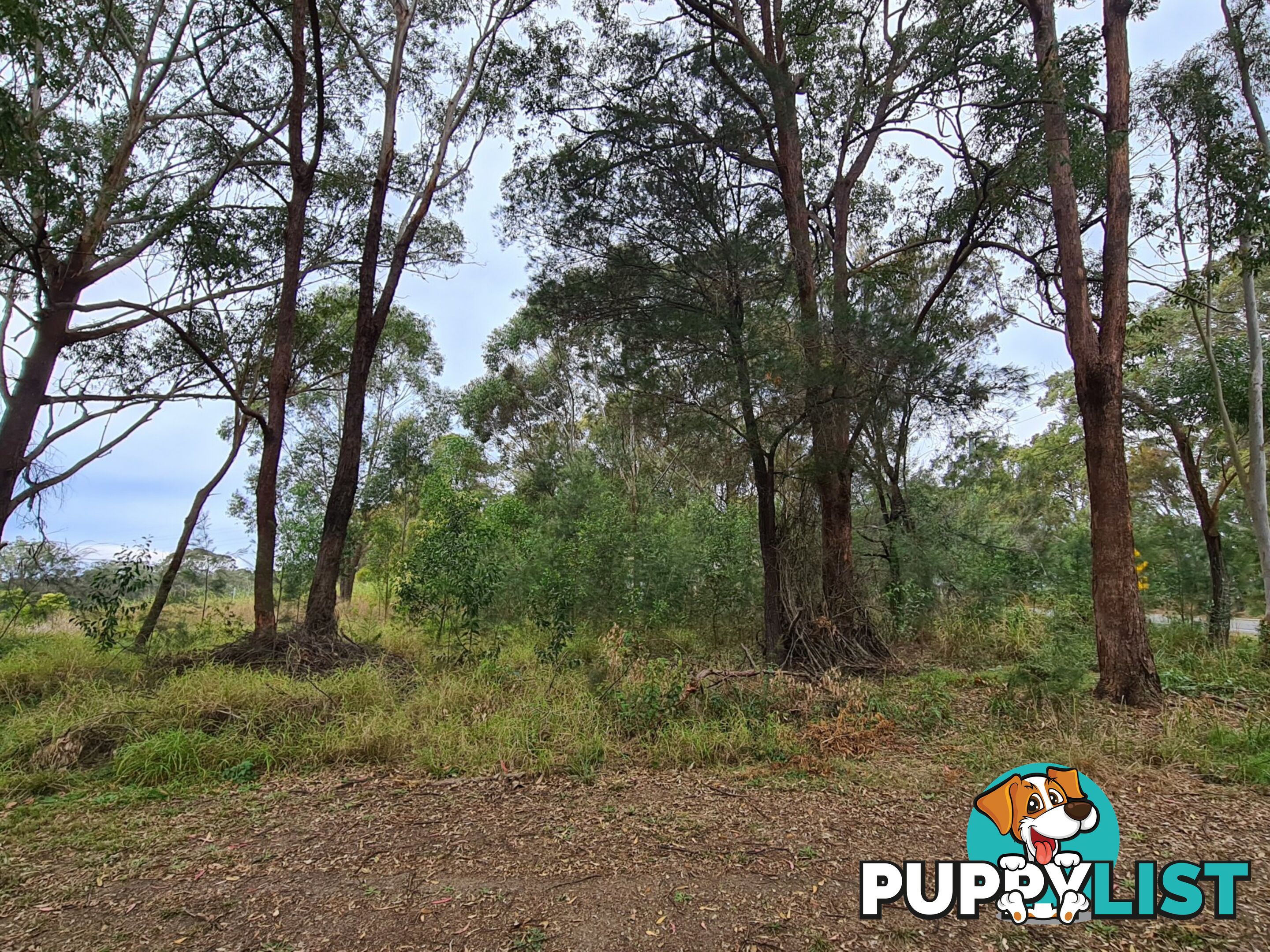29 Minjerriba Road RUSSELL ISLAND QLD 4184