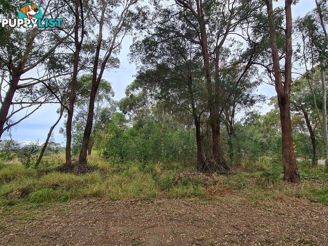29 Minjerriba Road RUSSELL ISLAND QLD 4184
