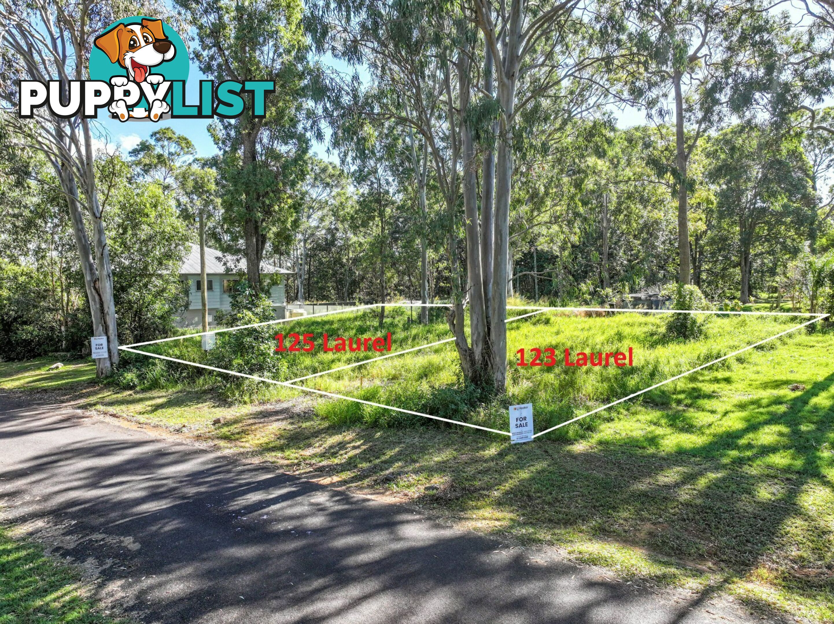 125 Laurel Street RUSSELL ISLAND QLD 4184