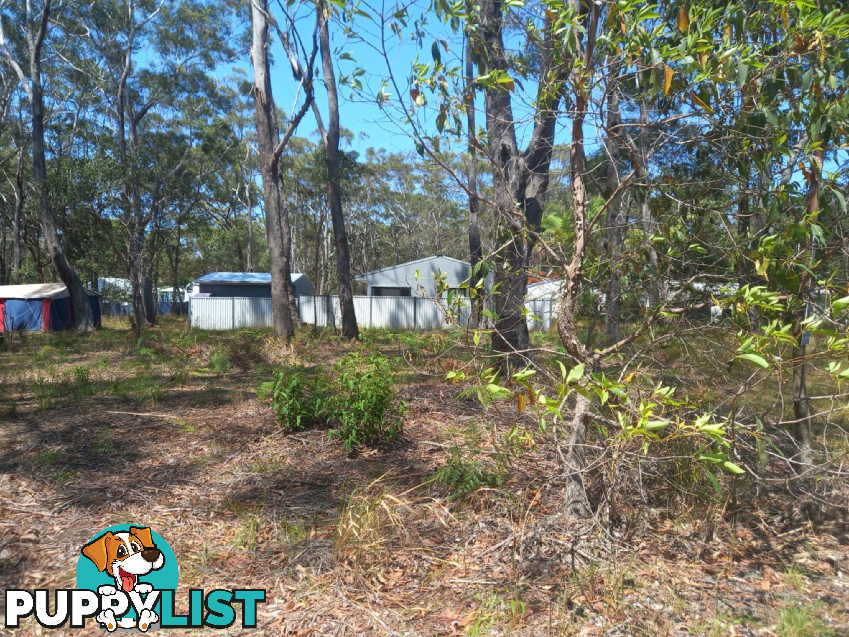 43 FERNANDO ROAD RUSSELL ISLAND QLD 4184