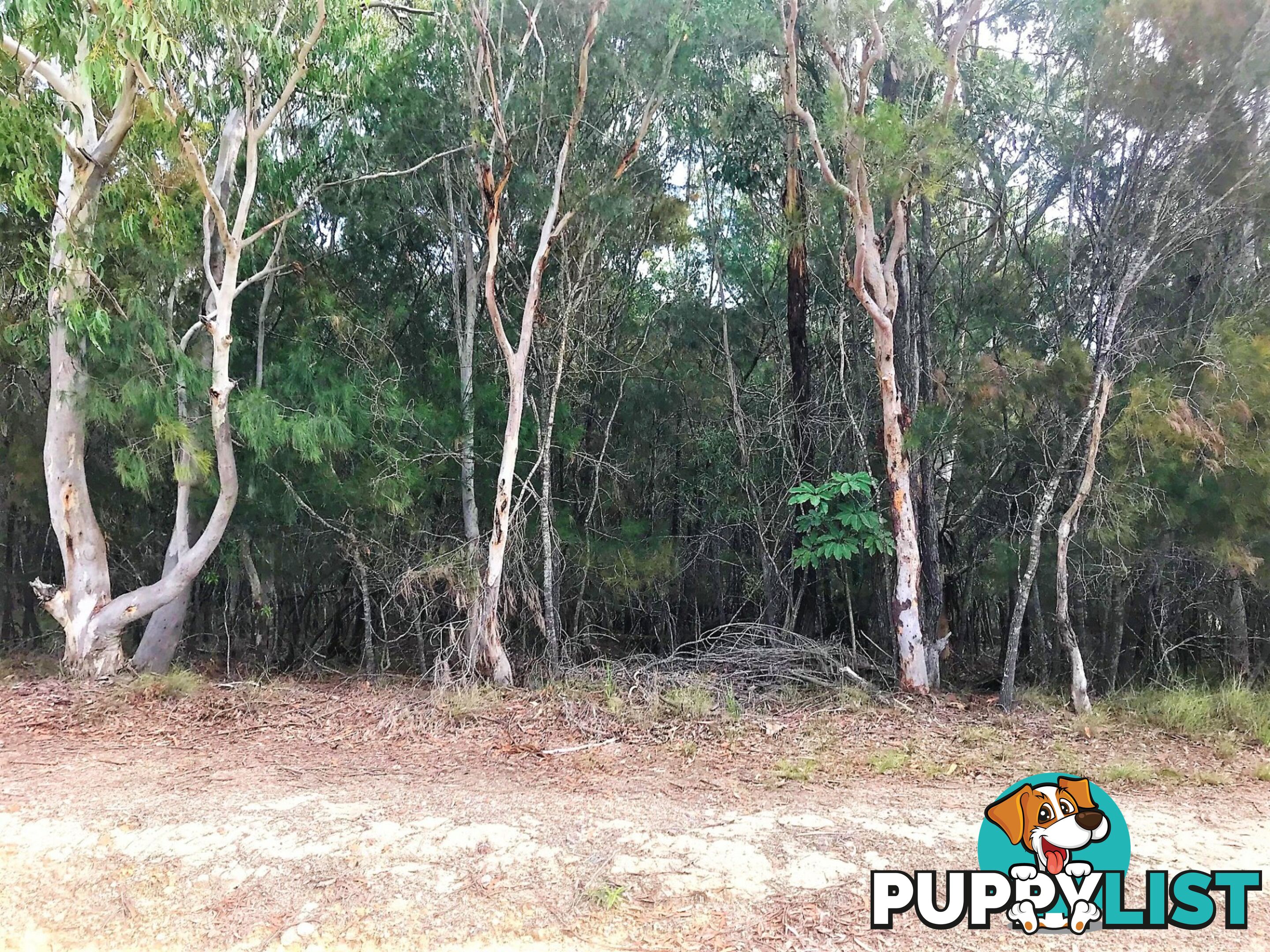 68 Highland Ridge Rd RUSSELL ISLAND QLD 4184