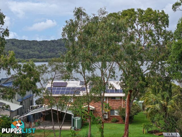 154 Canaipa Point Dve RUSSELL ISLAND QLD 4184