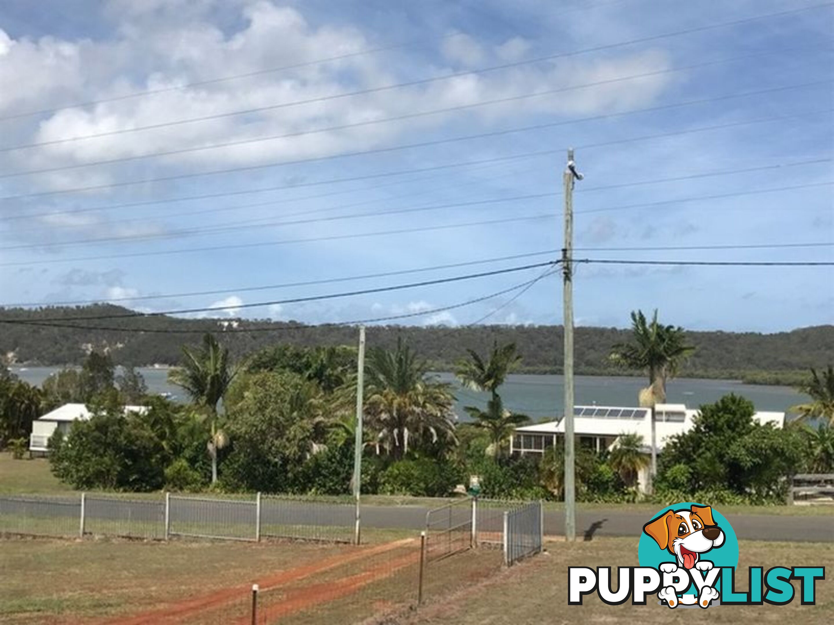 39 Canaipa Point Dve RUSSELL ISLAND QLD 4184