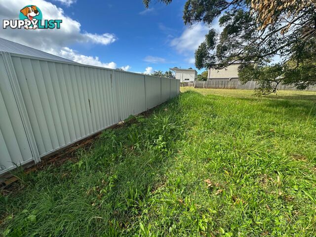 19 Taylor Street RUSSELL ISLAND QLD 4184