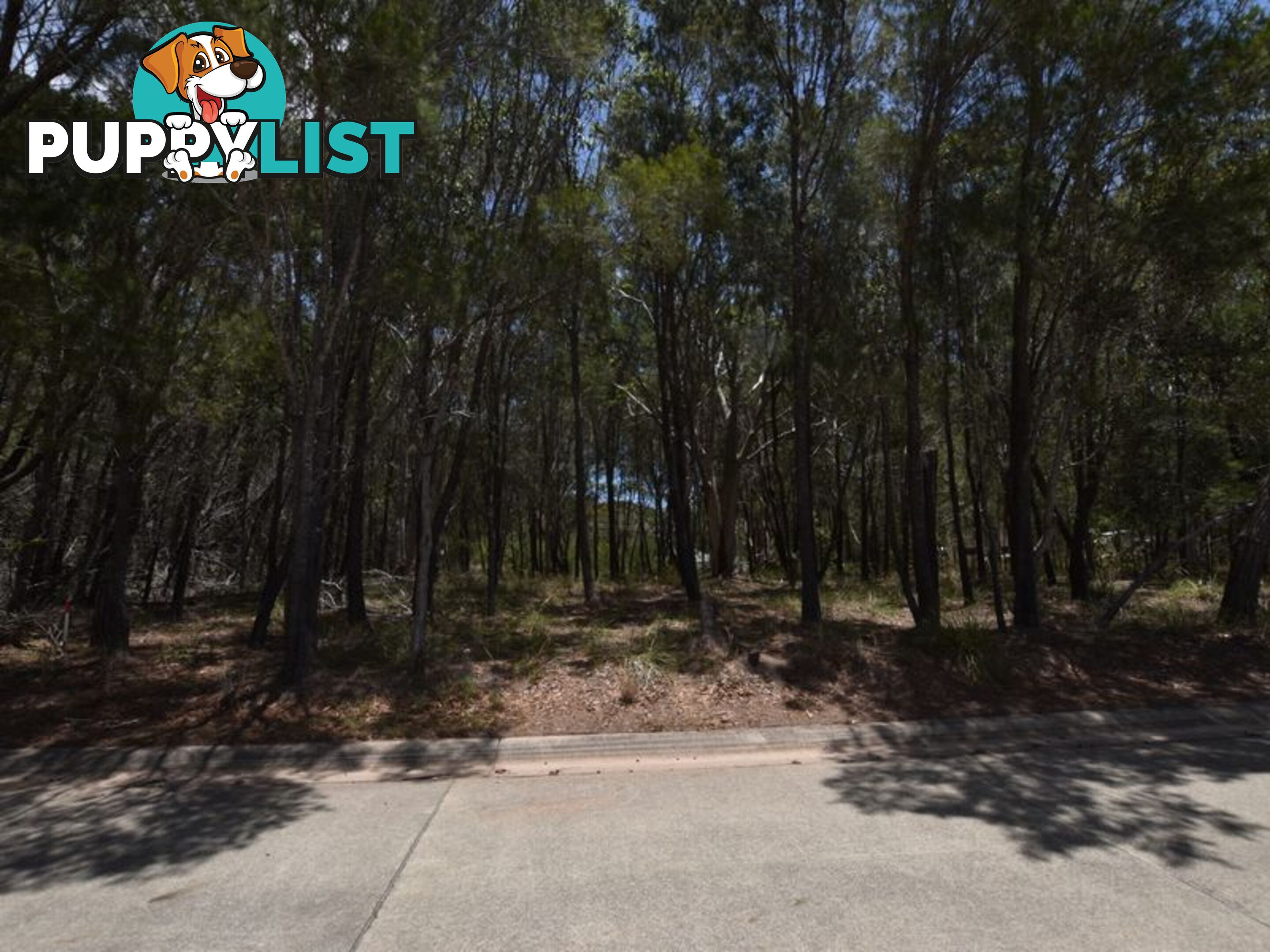 118 Wahine Dve RUSSELL ISLAND QLD 4184