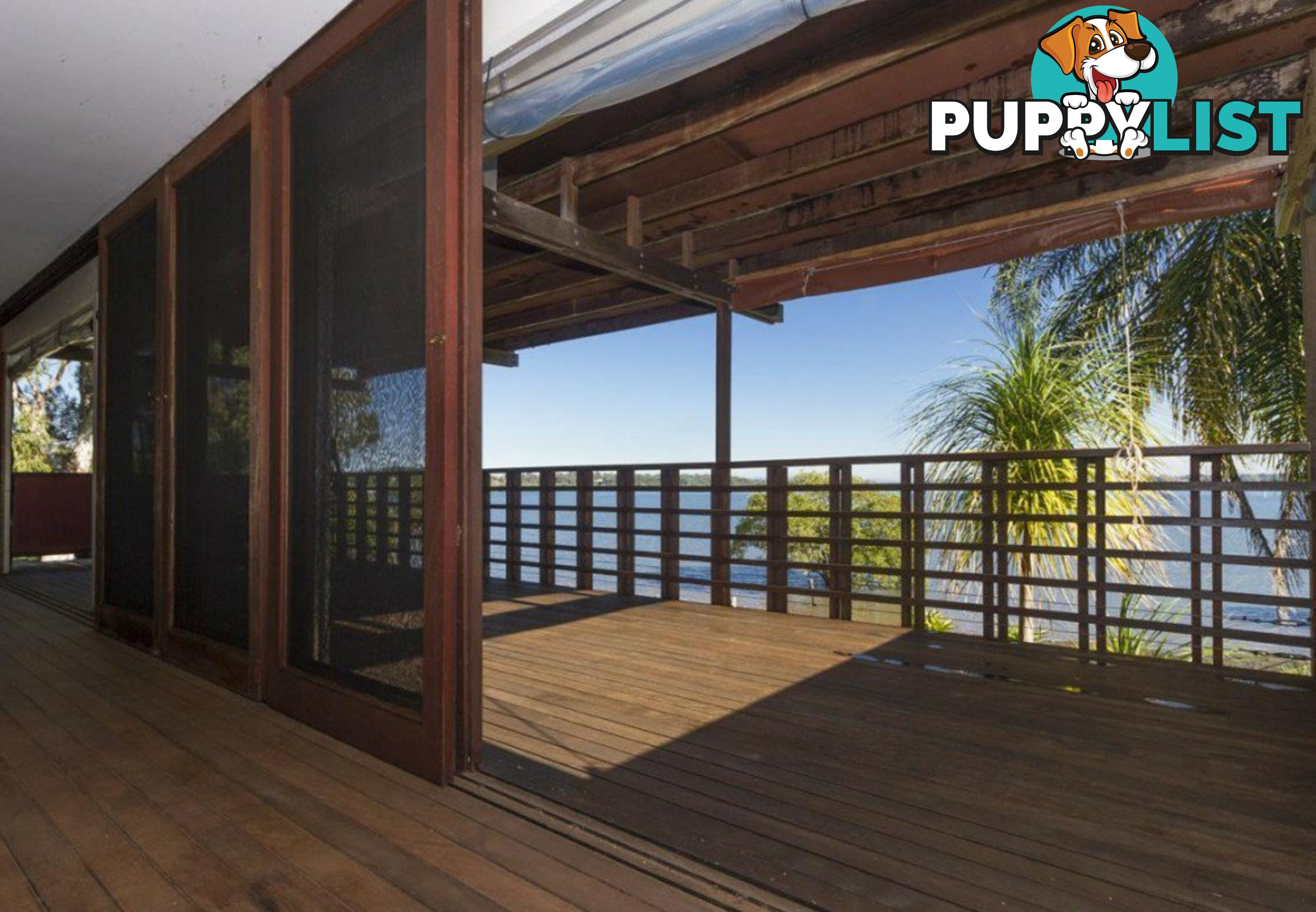81 Canaipa Point Drive RUSSELL ISLAND QLD 4184