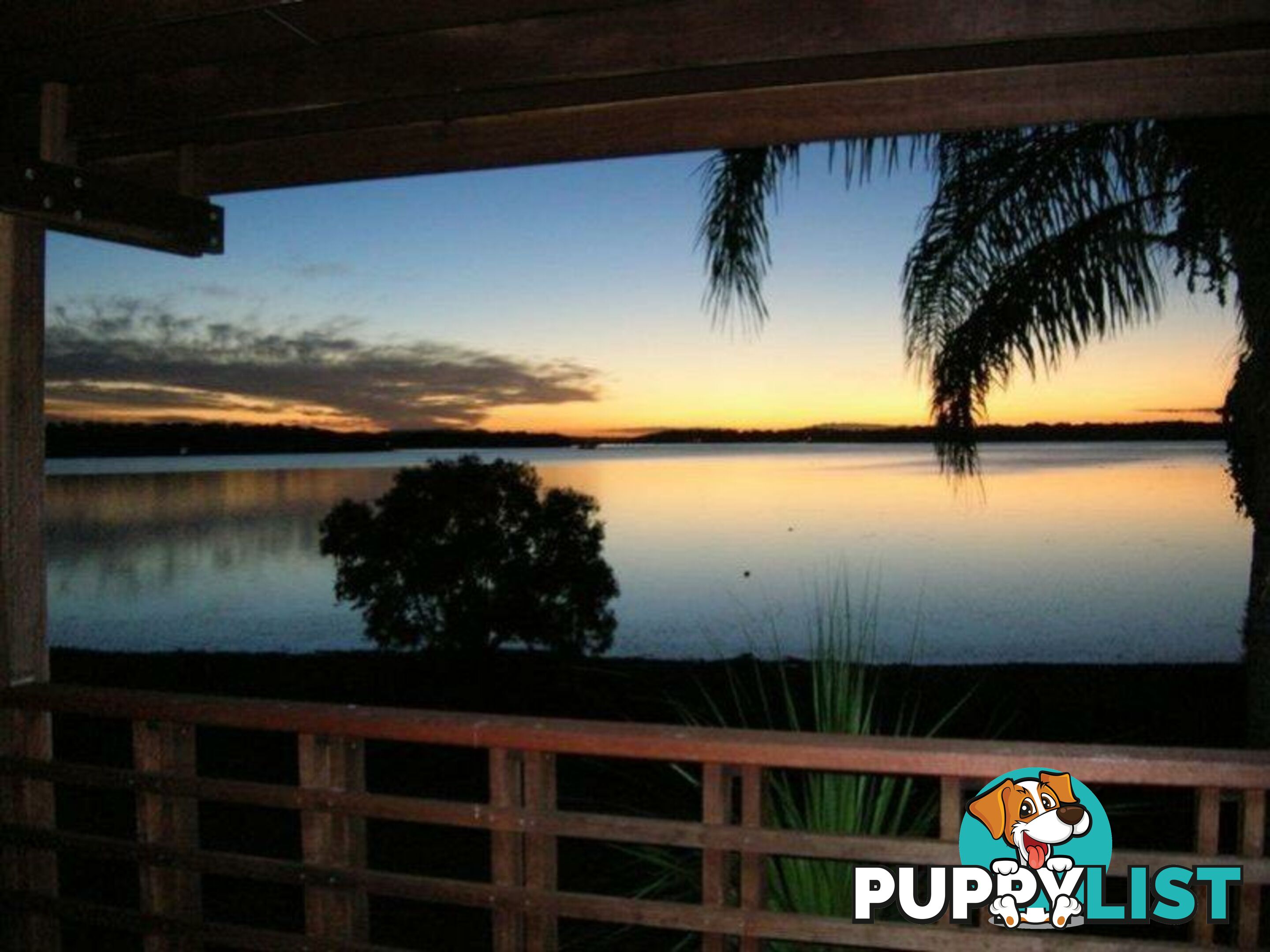 81 Canaipa Point Drive RUSSELL ISLAND QLD 4184