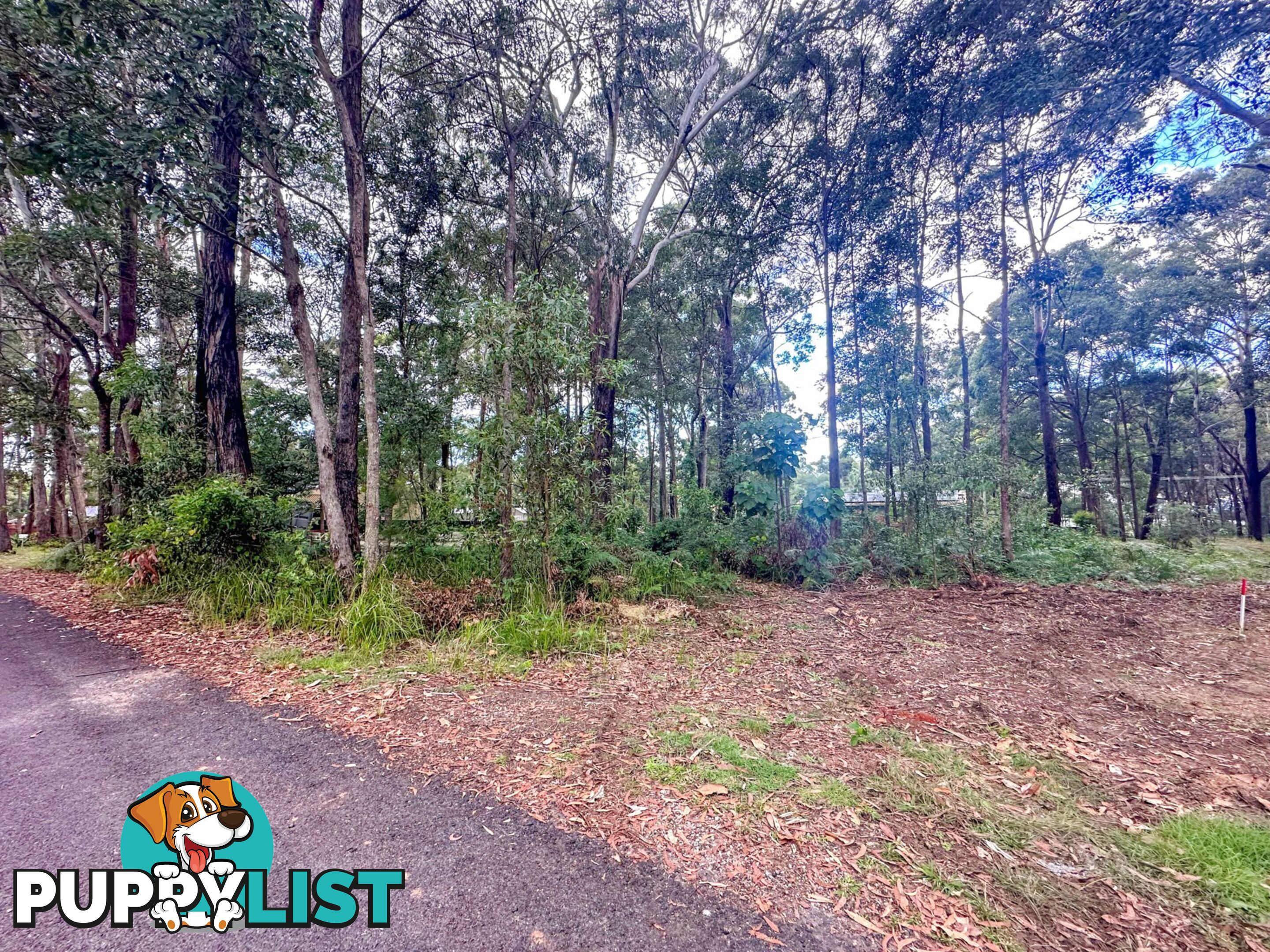 20 Angorra St RUSSELL ISLAND QLD 4184