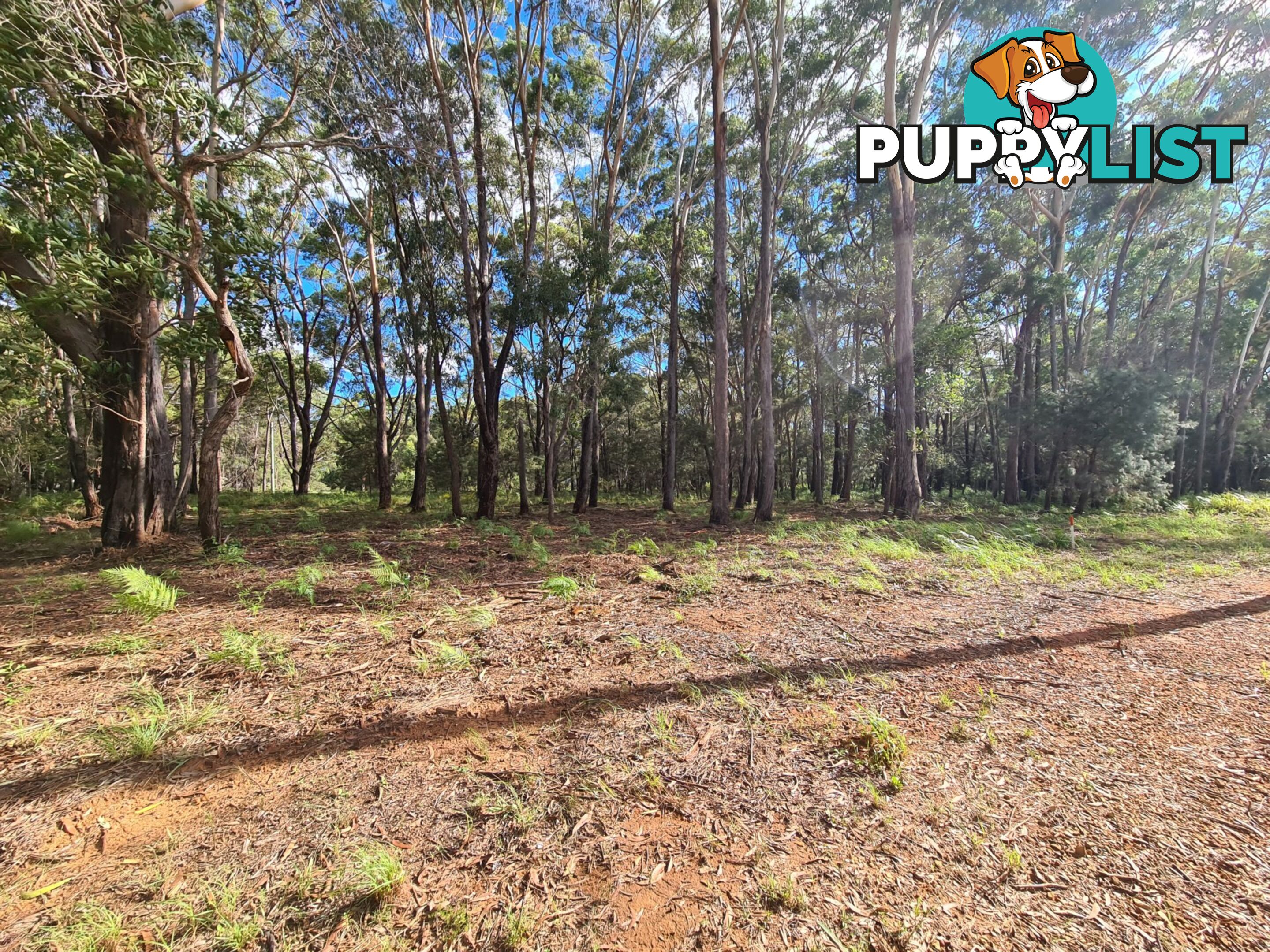 16-18 Kurrajong Street RUSSELL ISLAND QLD 4184