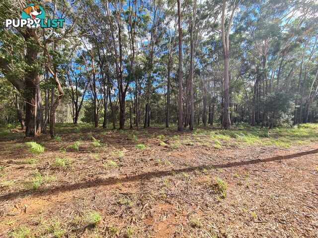 16-18 Kurrajong Street RUSSELL ISLAND QLD 4184