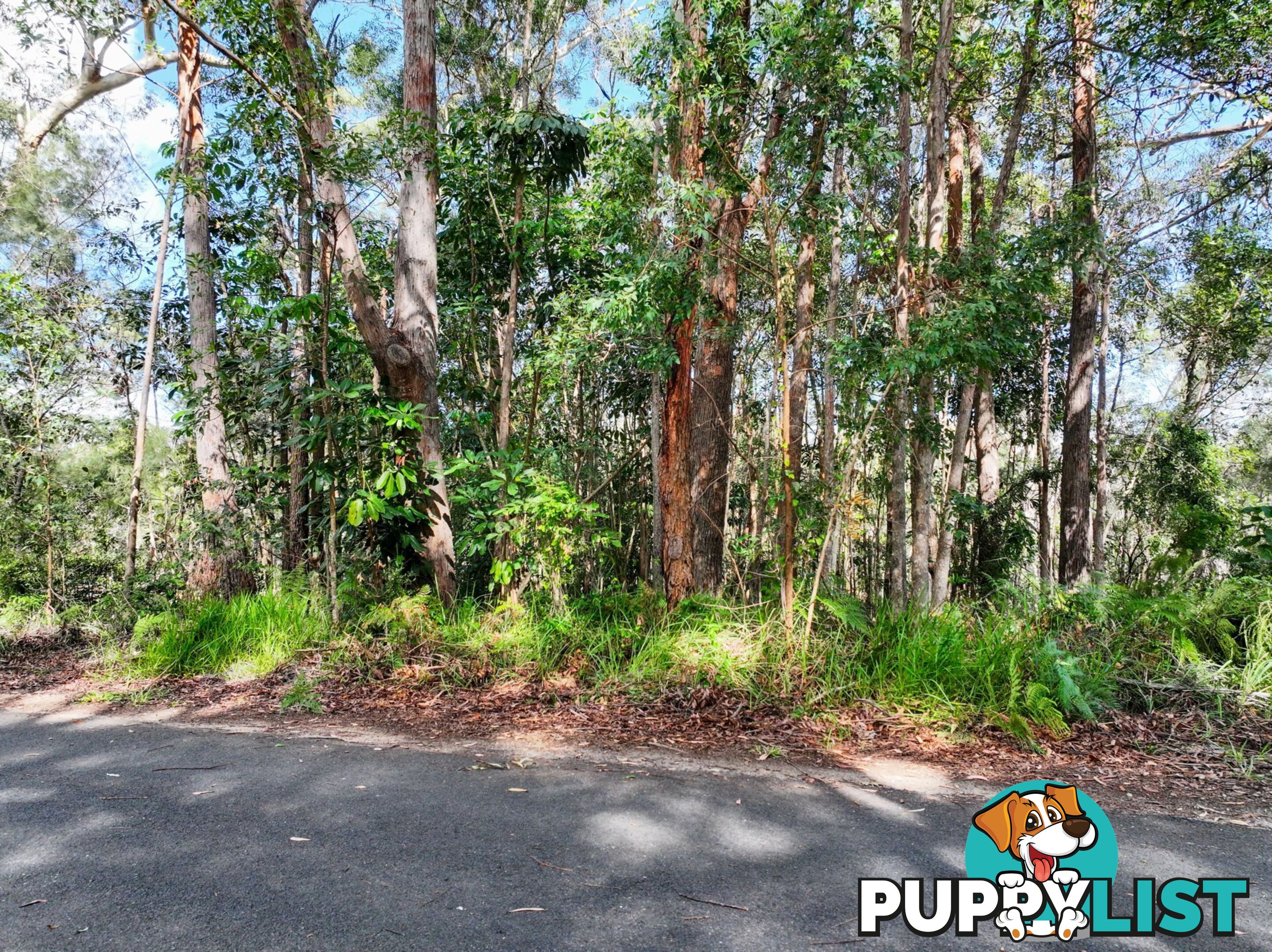 50 Dempsey Street RUSSELL ISLAND QLD 4184