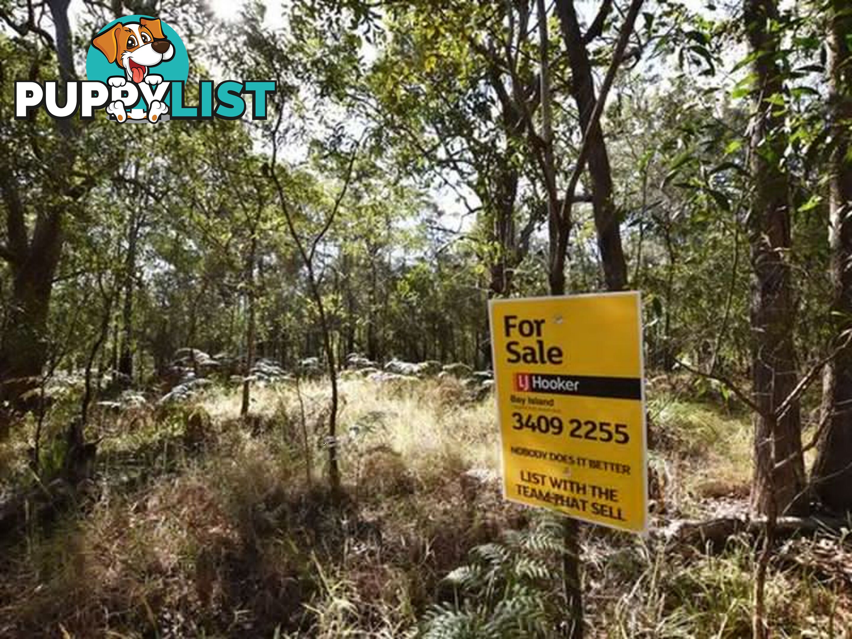 5 Cook Ave RUSSELL ISLAND QLD 4184