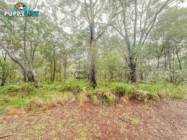 13 Bowen Ave RUSSELL ISLAND QLD 4184