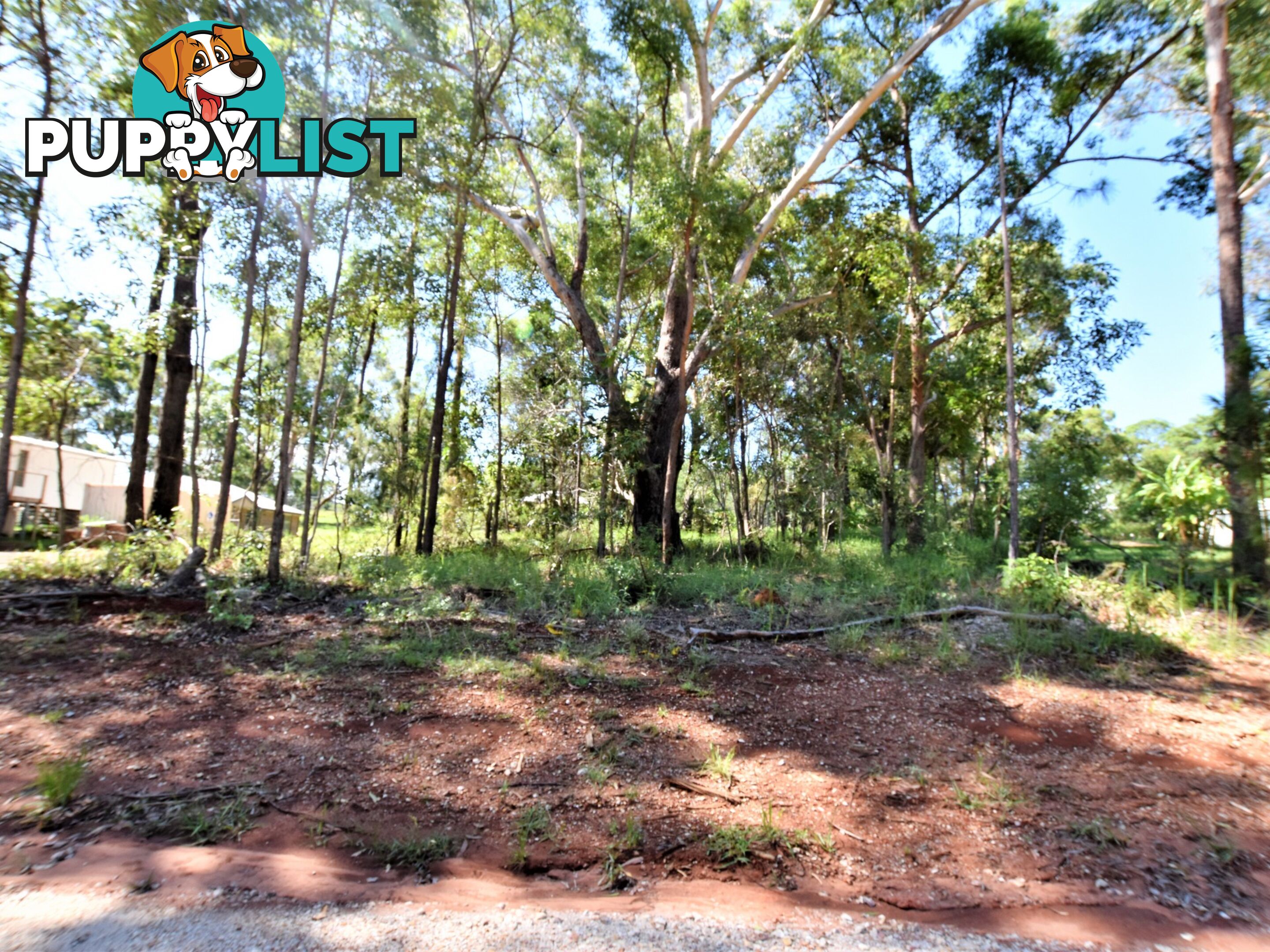 41 Dempsey Street RUSSELL ISLAND QLD 4184