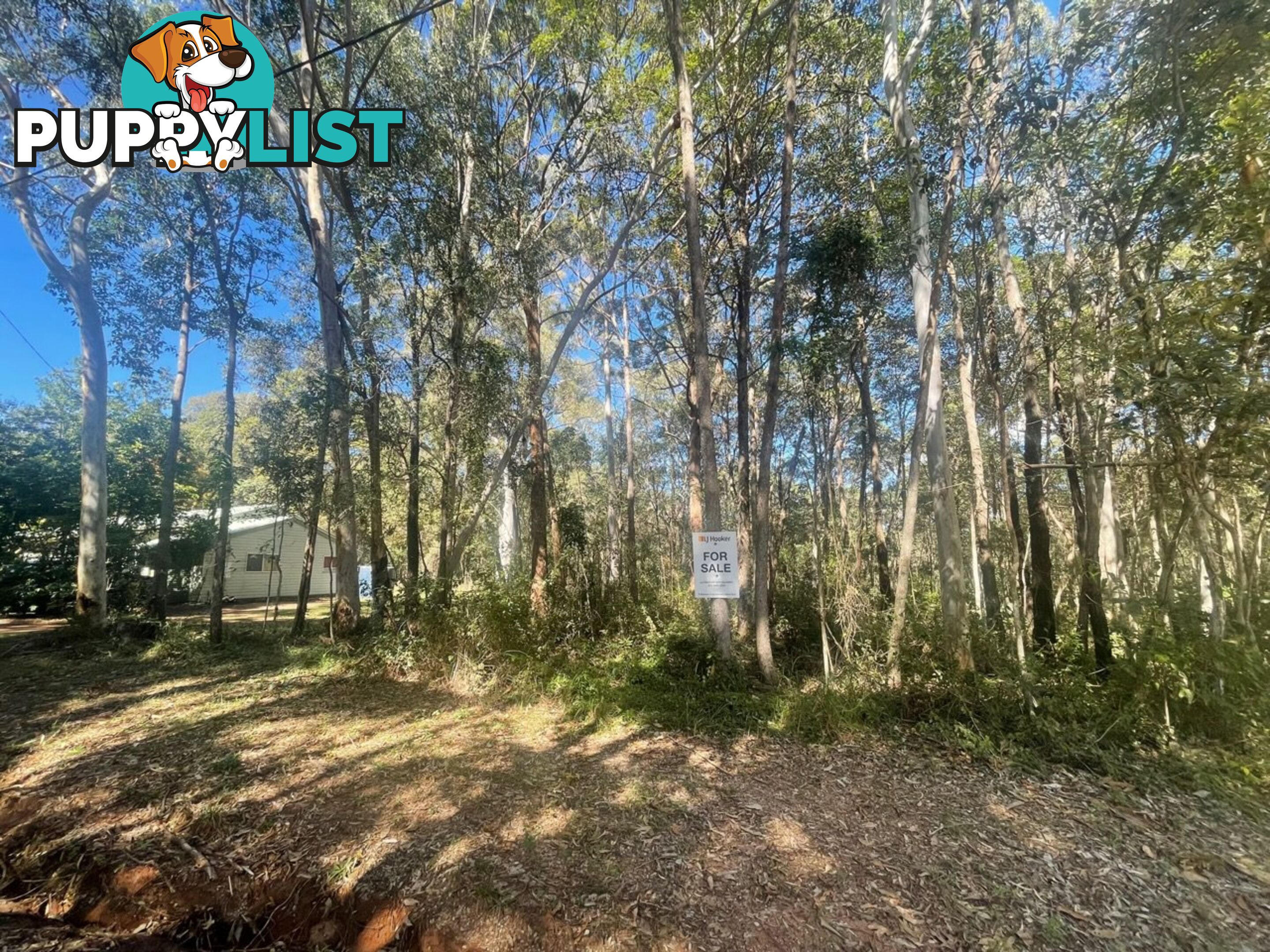 50 KENNEDY AVE RUSSELL ISLAND QLD 4184
