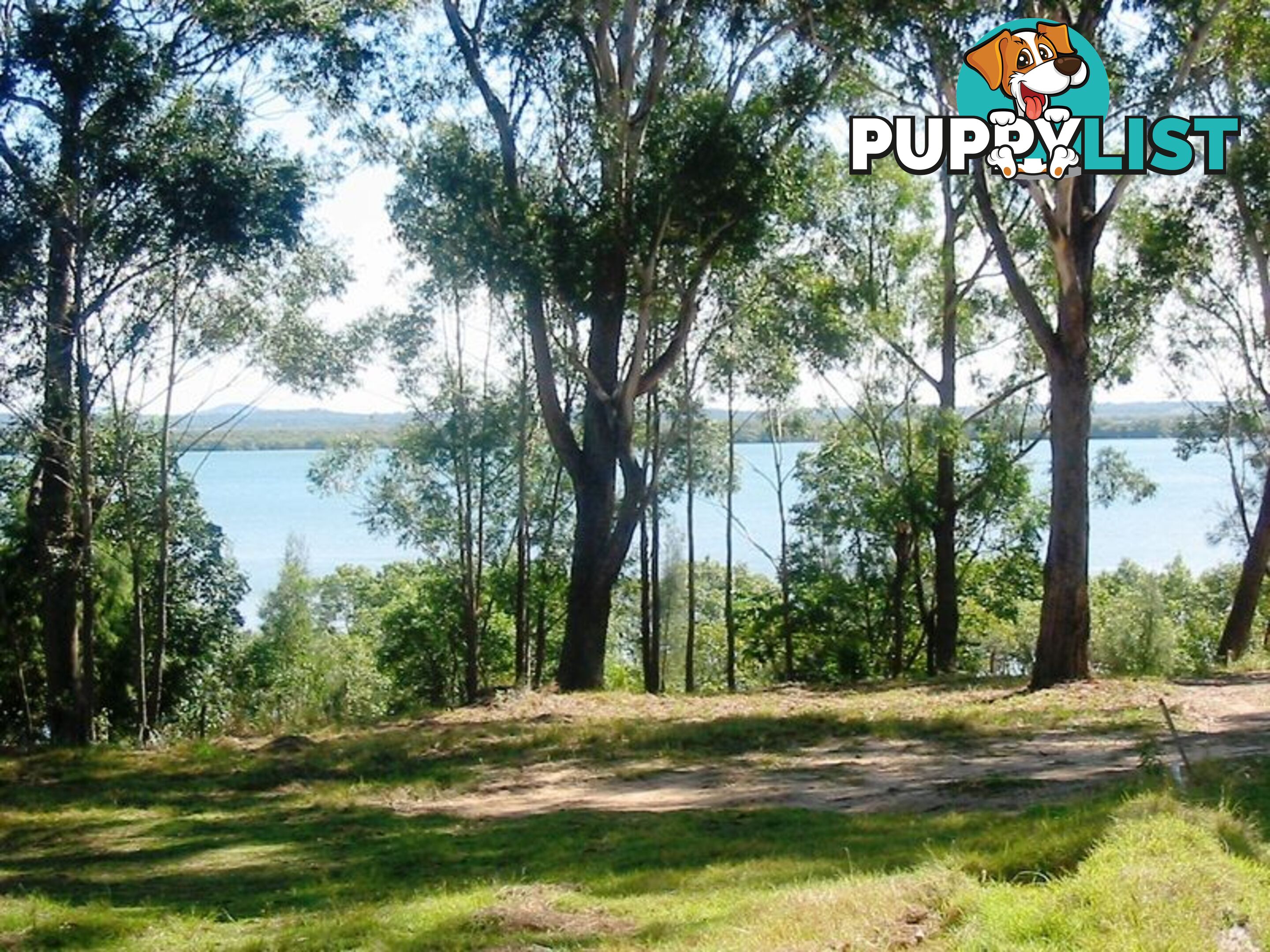 62 Deenya Pde RUSSELL ISLAND QLD 4184