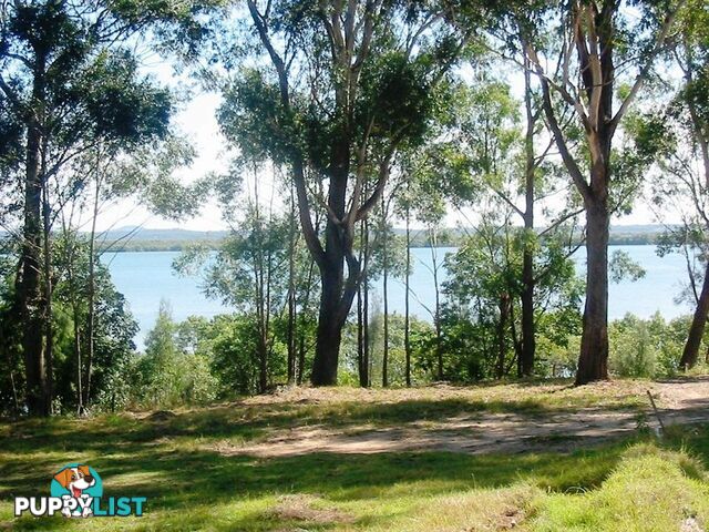 62 Deenya Pde RUSSELL ISLAND QLD 4184