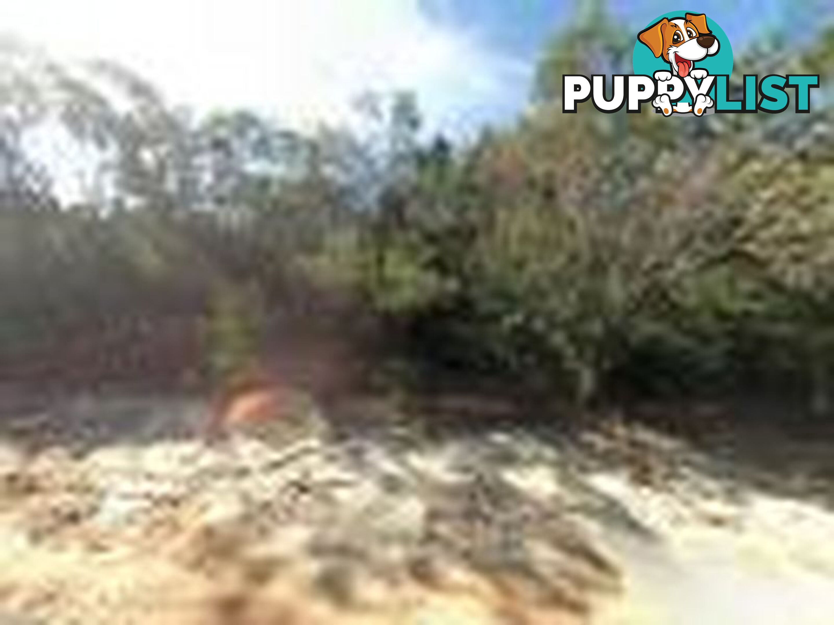 35 Cowderoy Dve RUSSELL ISLAND QLD 4184