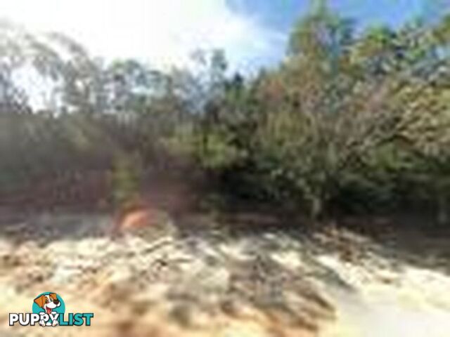 35 Cowderoy Dve RUSSELL ISLAND QLD 4184