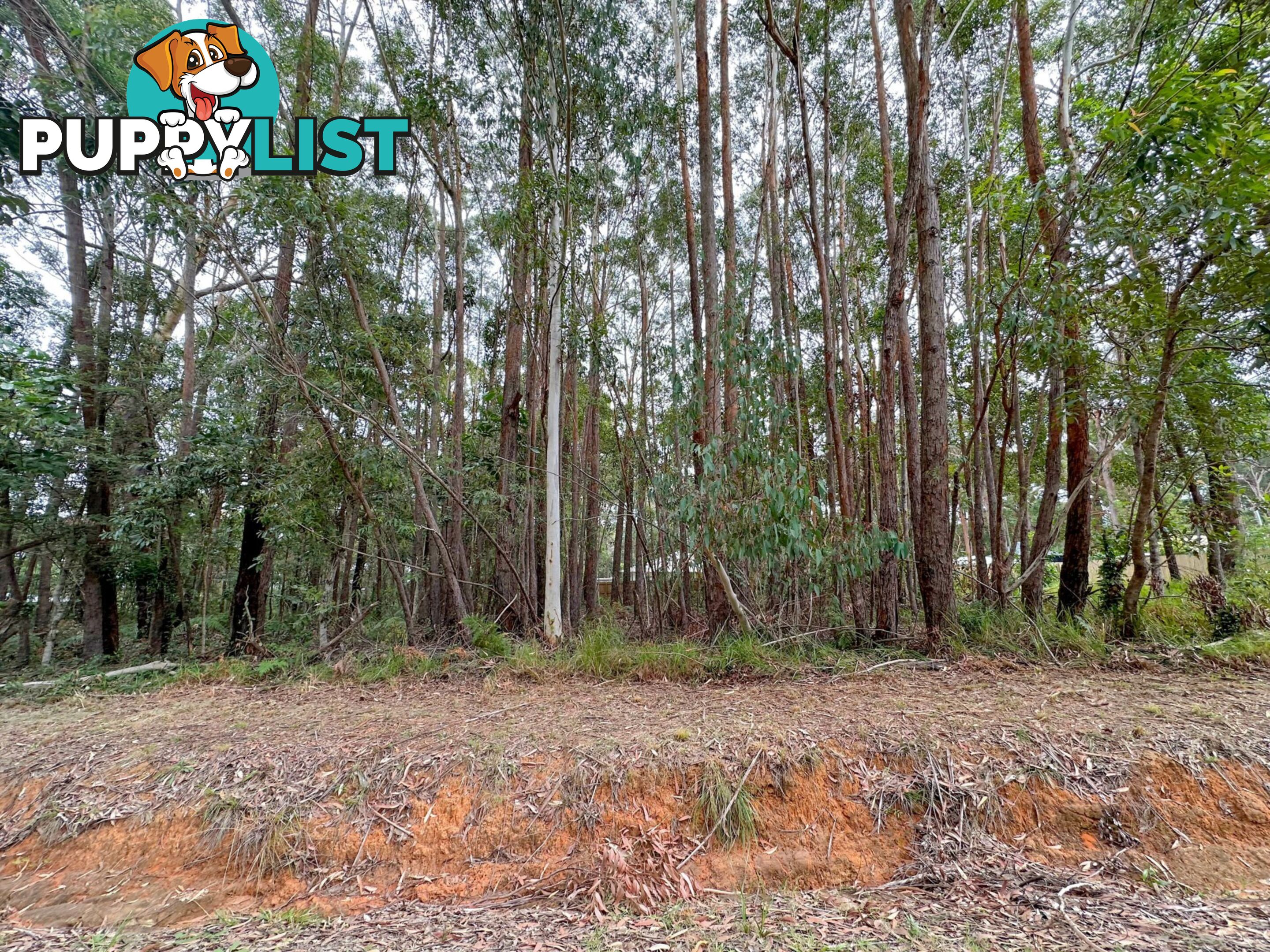 21 Currong Street RUSSELL ISLAND QLD 4184