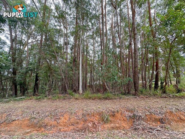 21 Currong Street RUSSELL ISLAND QLD 4184