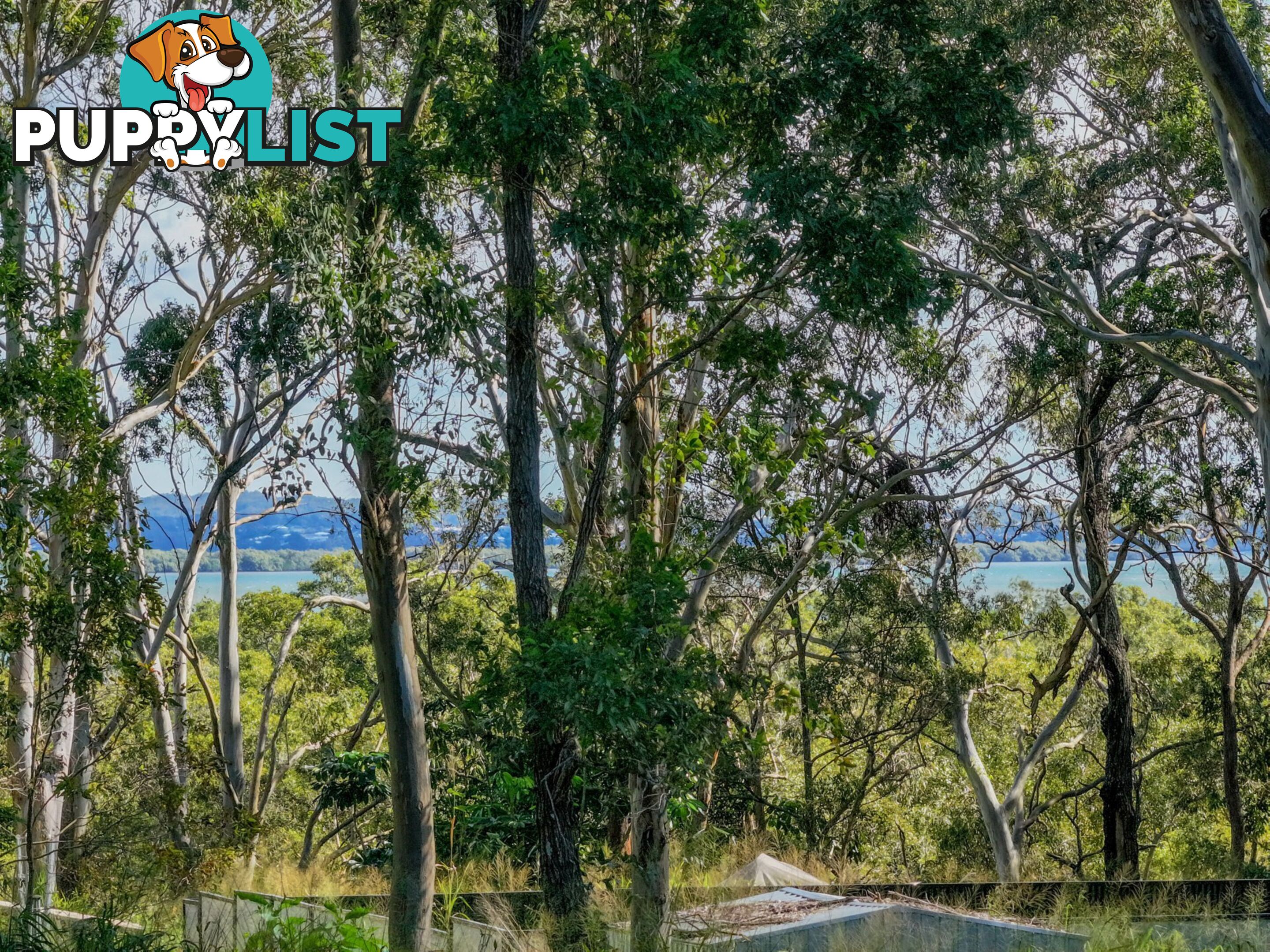123-125 Laurel Street RUSSELL ISLAND QLD 4184