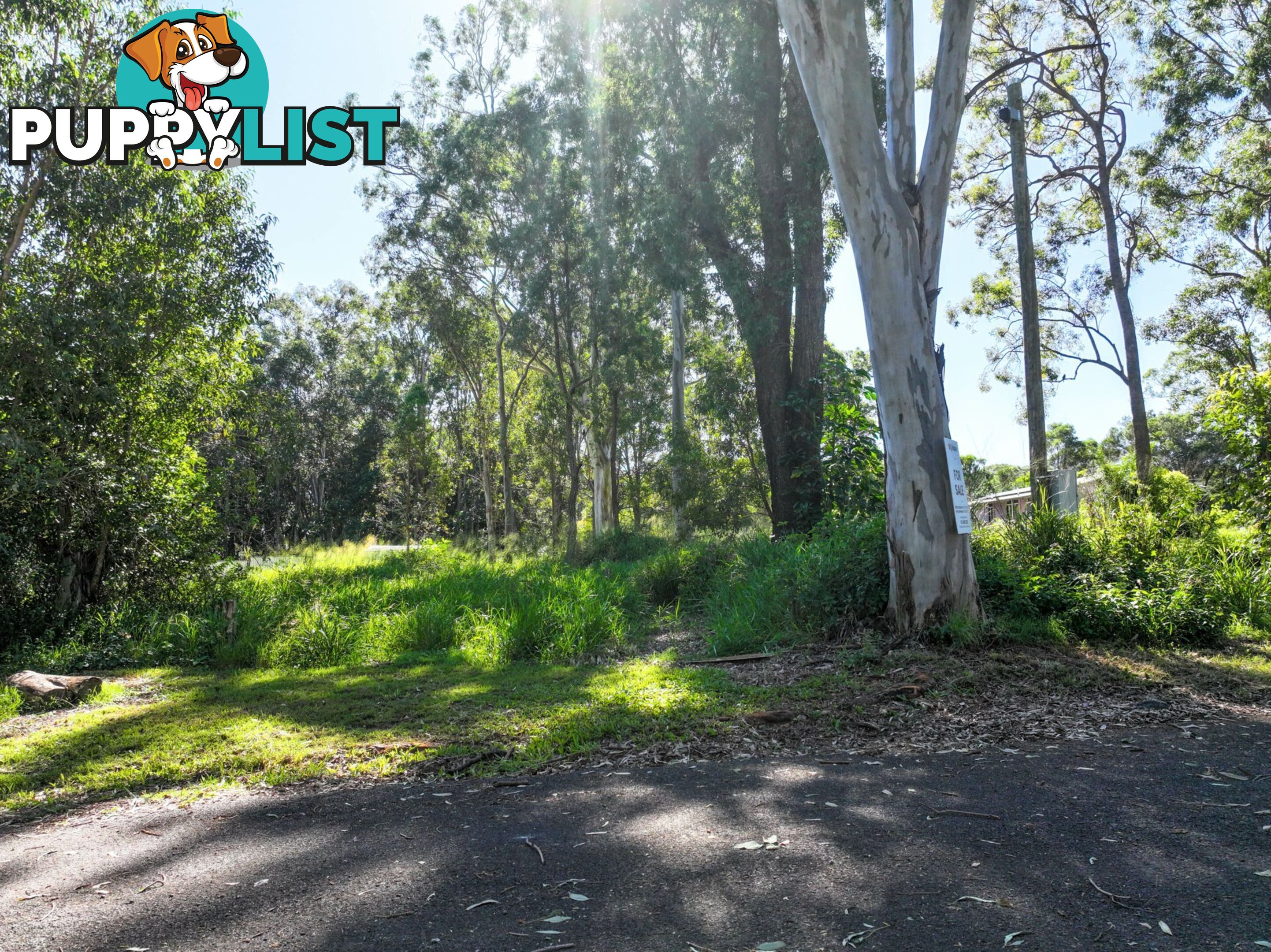123-125 Laurel Street RUSSELL ISLAND QLD 4184
