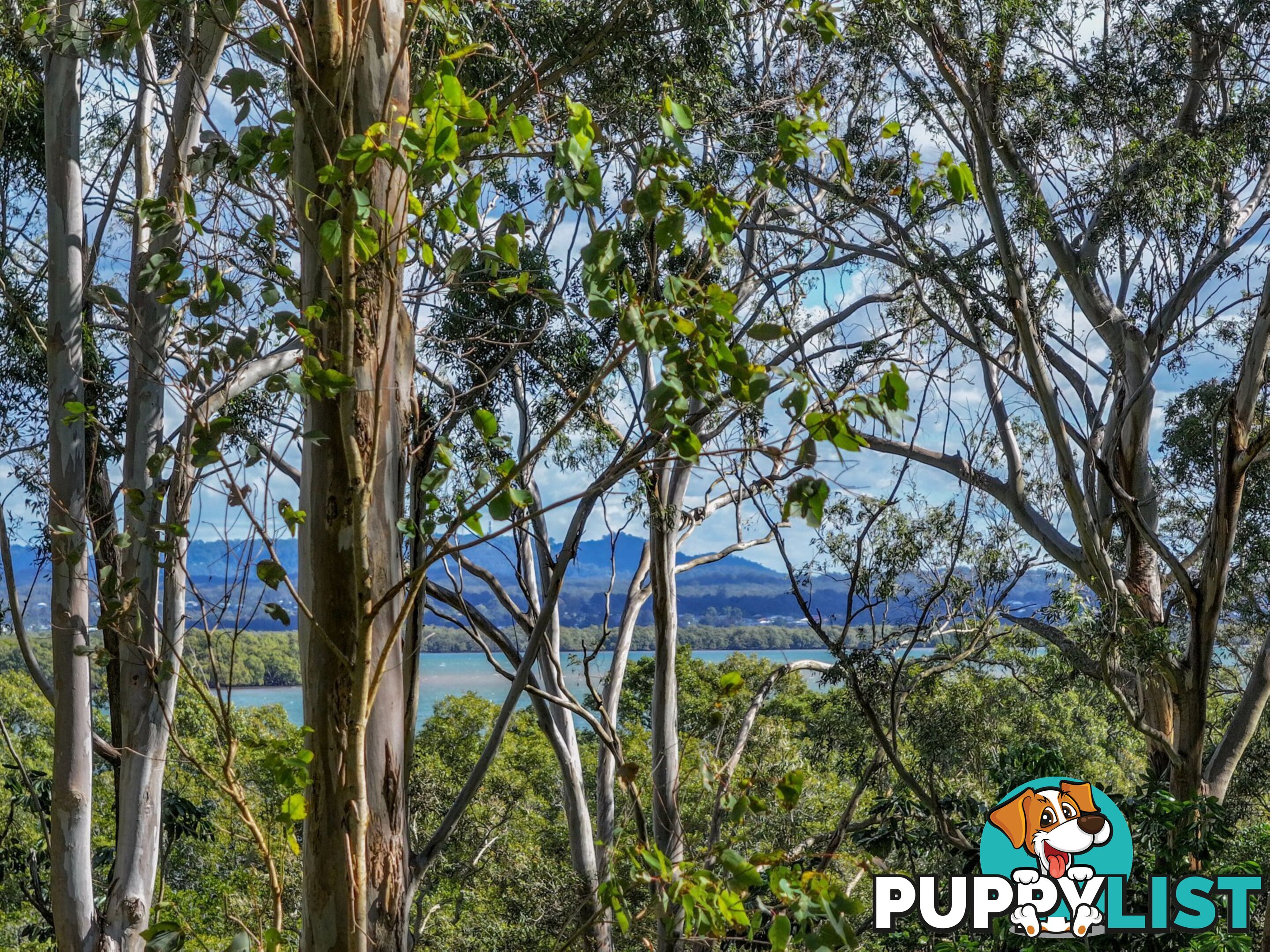 123-125 Laurel Street RUSSELL ISLAND QLD 4184