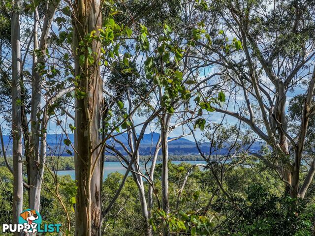 123-125 Laurel Street RUSSELL ISLAND QLD 4184