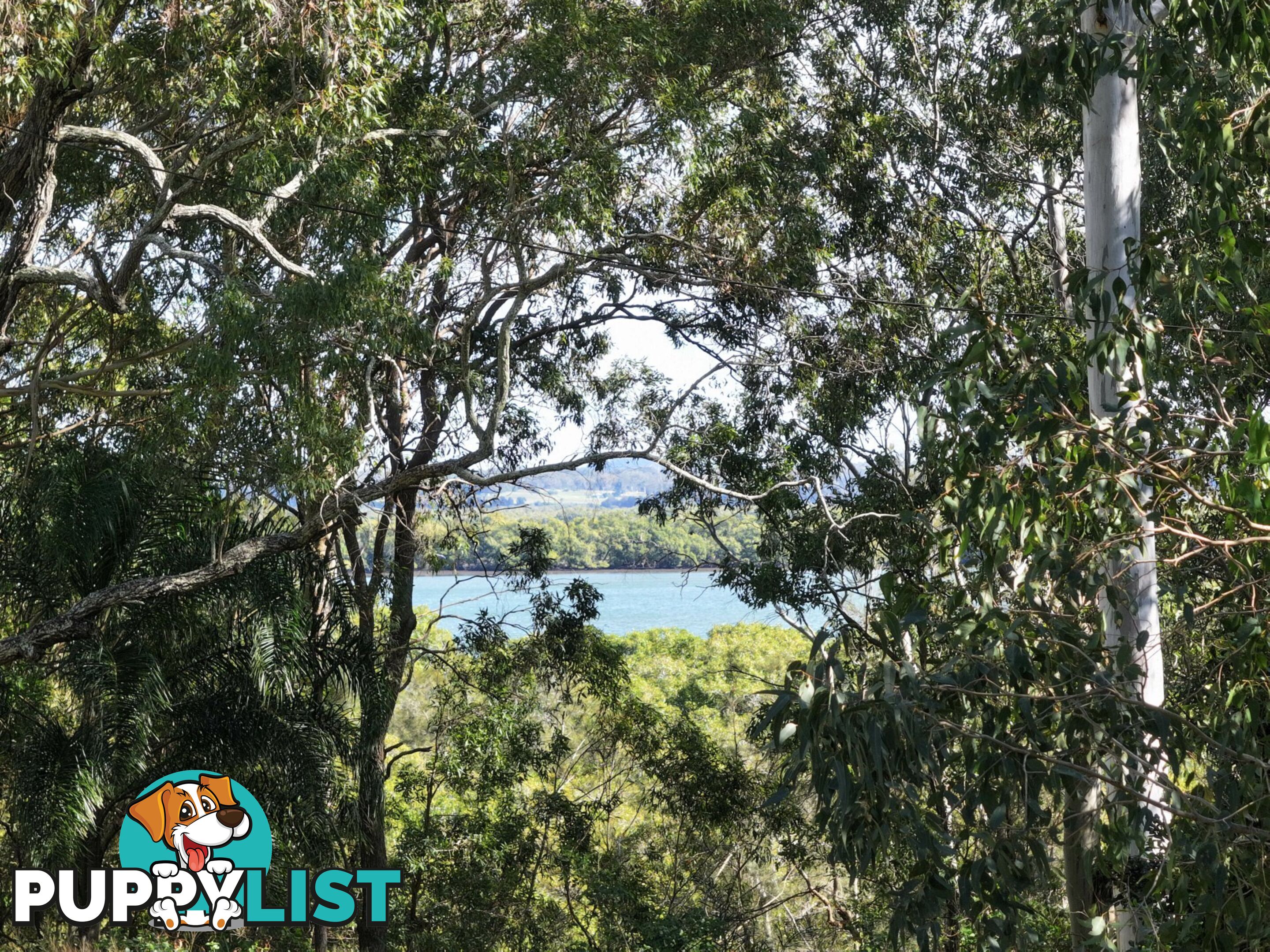 123-125 Laurel Street RUSSELL ISLAND QLD 4184