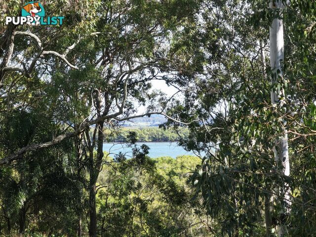 123-125 Laurel Street RUSSELL ISLAND QLD 4184