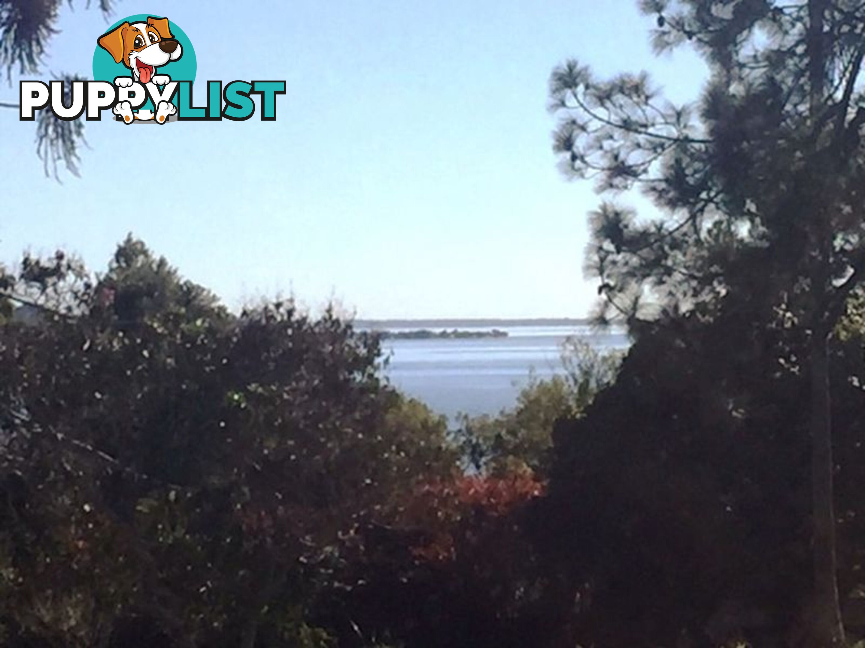 11 Canaipa Point Dve RUSSELL ISLAND QLD 4184