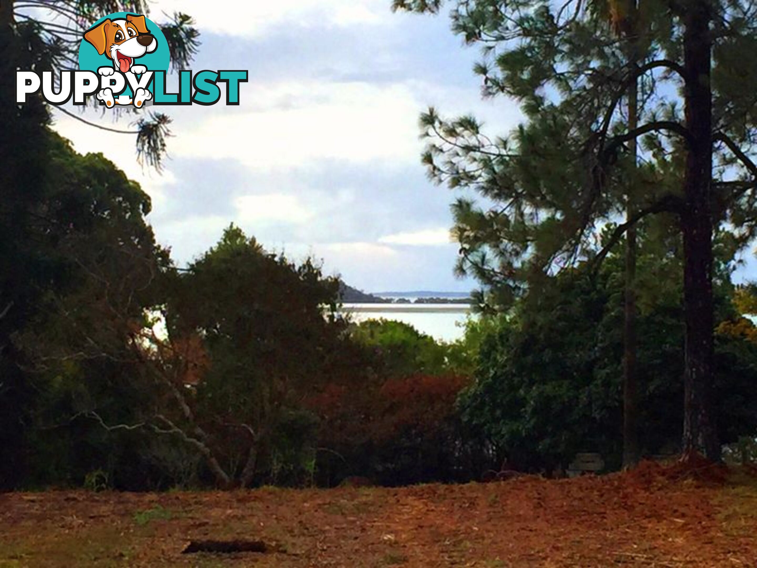 11 Canaipa Point Dve RUSSELL ISLAND QLD 4184