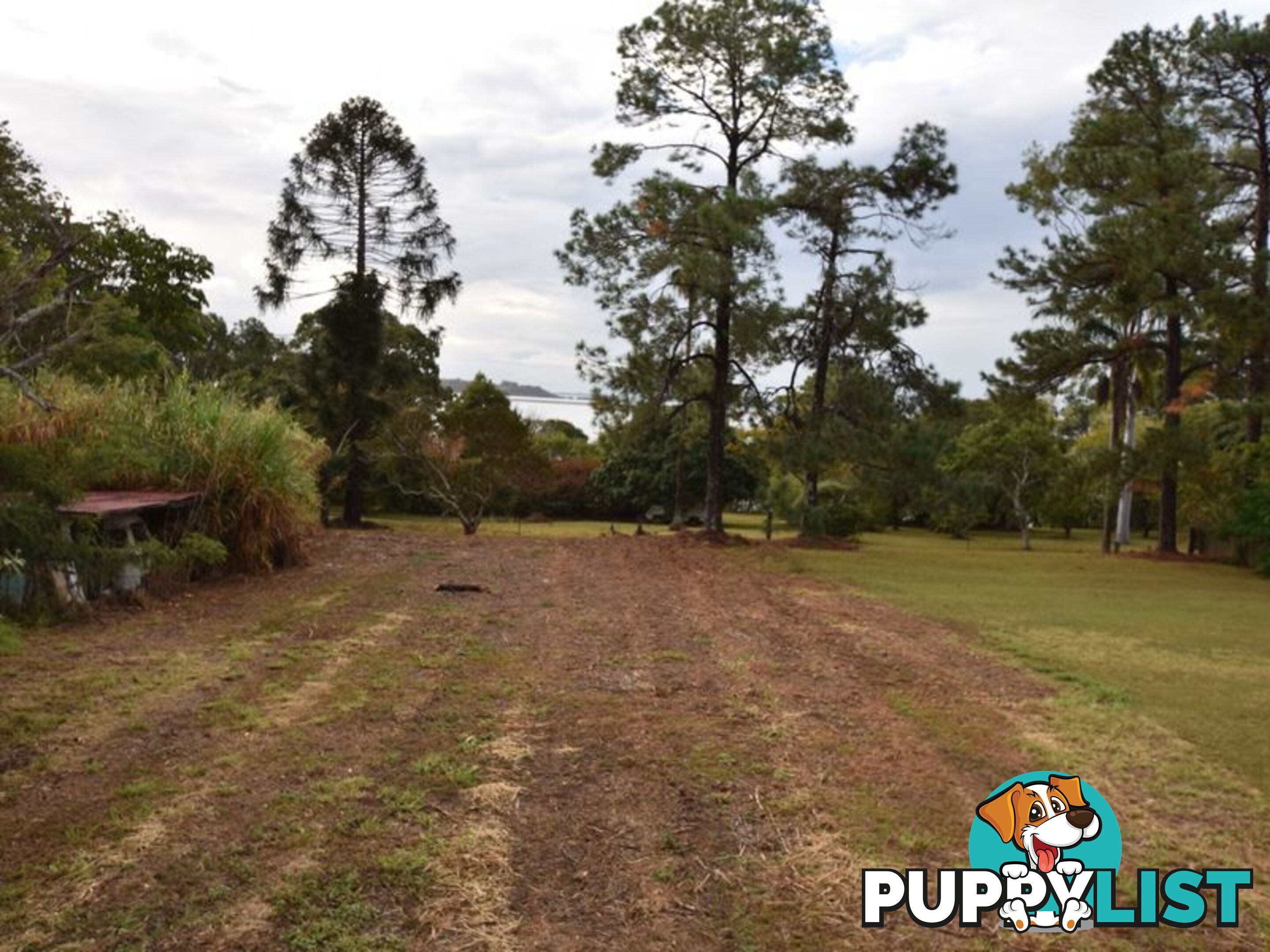 11 Canaipa Point Dve RUSSELL ISLAND QLD 4184